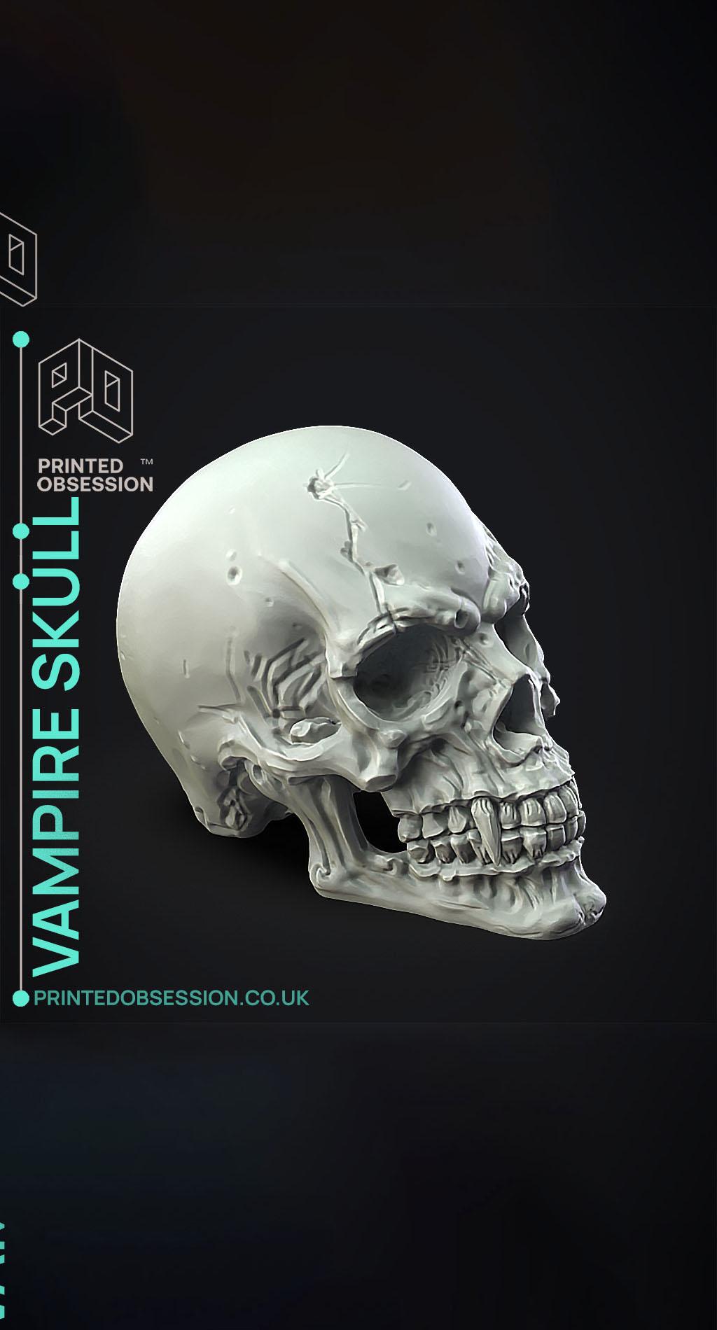 Vampire Skull - Decoration 3d model