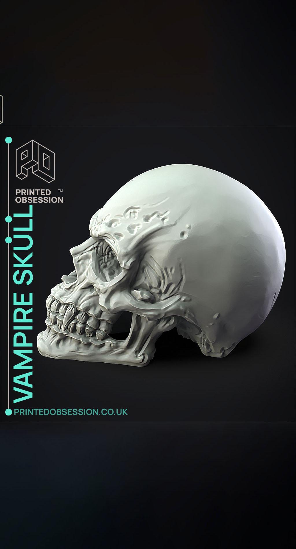 Vampire Skull - Decoration 3d model