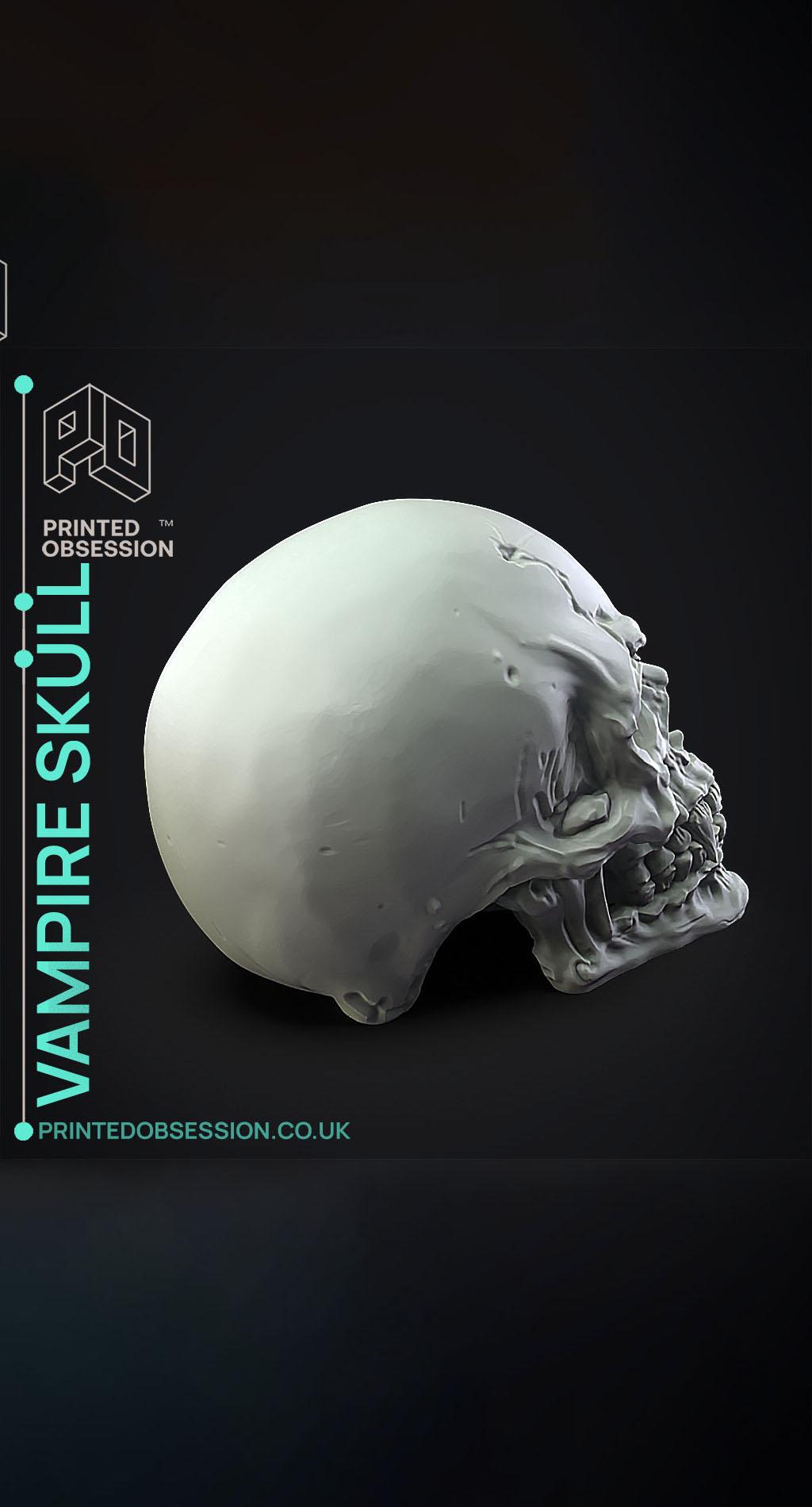 Vampire Skull - Decoration 3d model