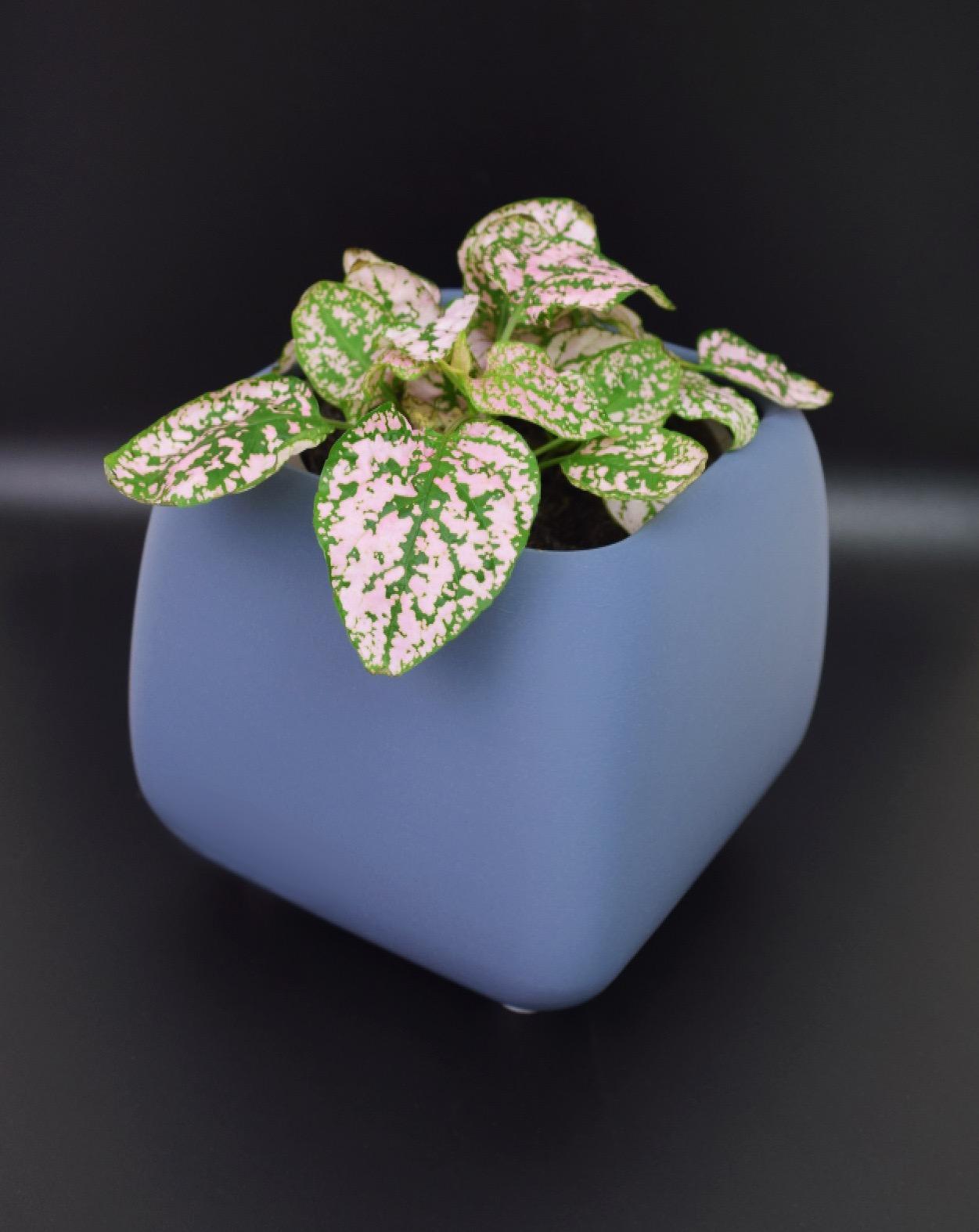 Rounded Cube Plant Pot with feet 3d model