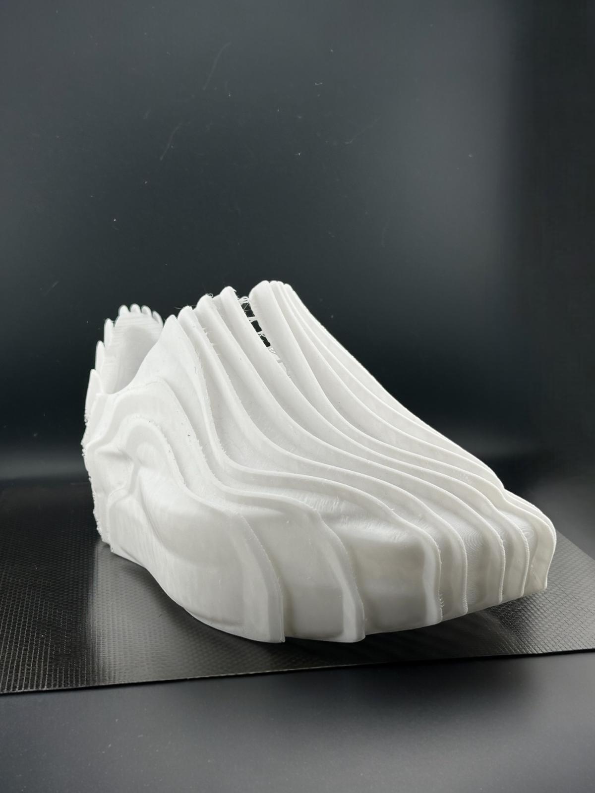 Wearable Wavy shoes 3d model