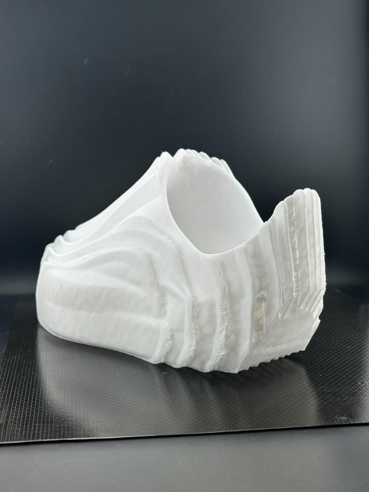 Wearable Wavy shoes 3d model