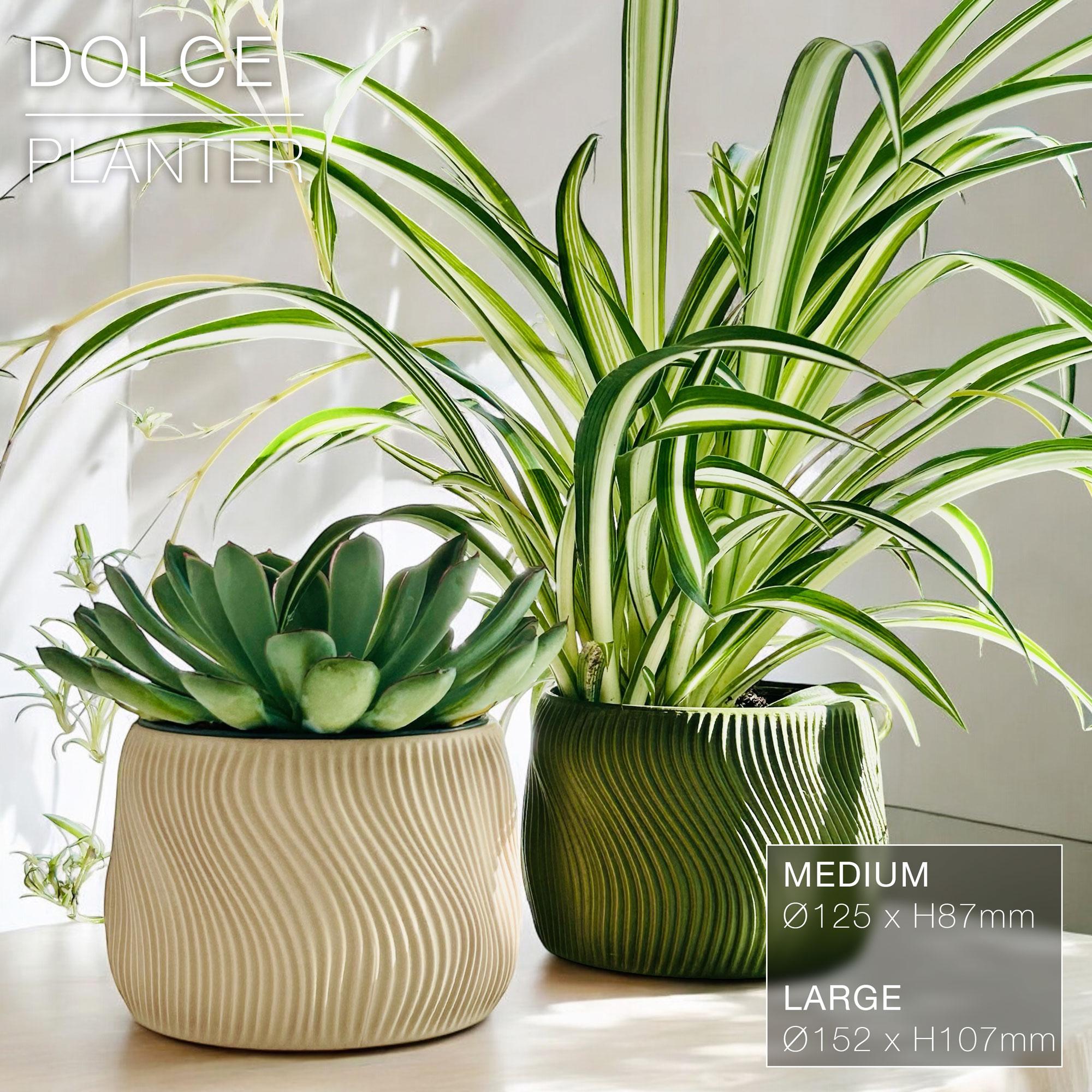 DOLCE  |  Indoor Planter Pot 3d model