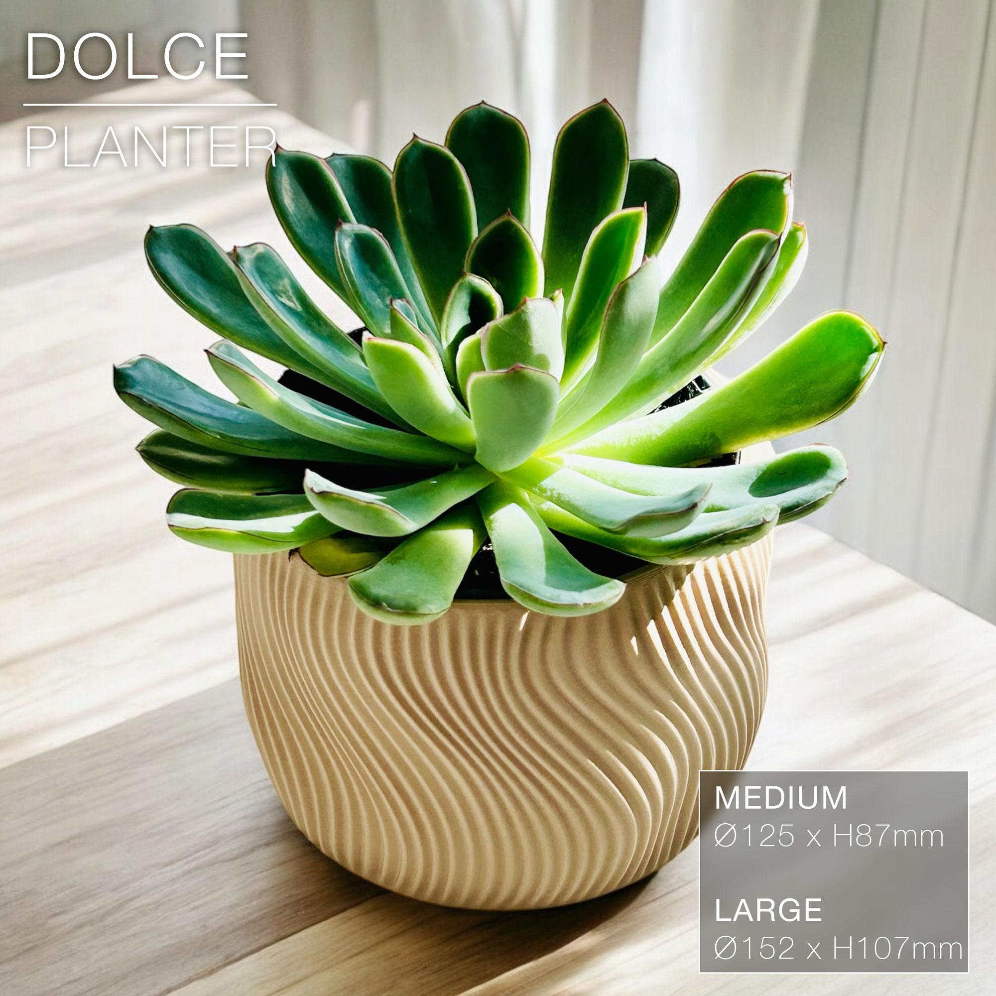 DOLCE  |  Indoor Planter Pot 3d model