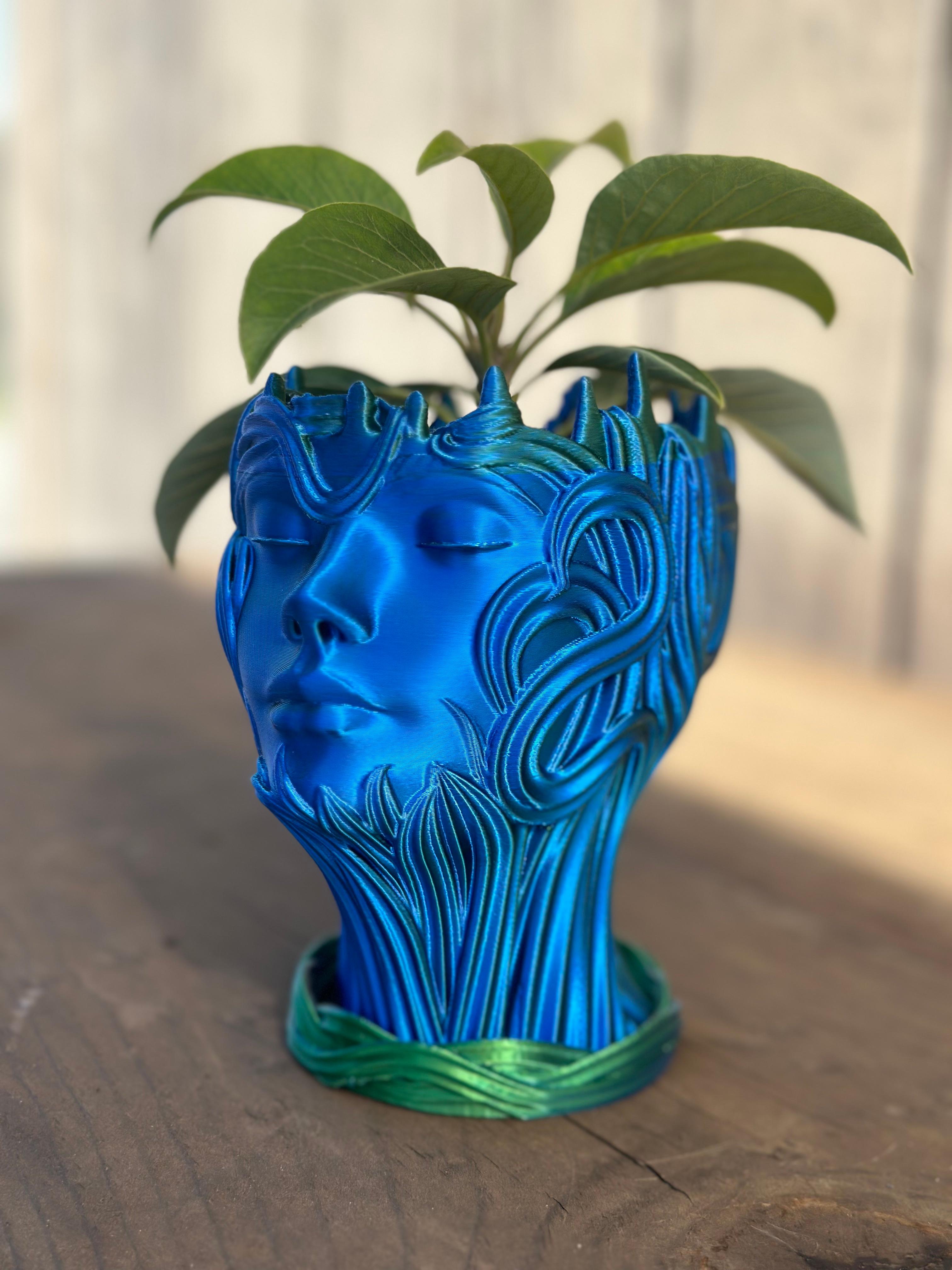 Woman's Head Planter Vase With Drain Holes and Water Catch Tray SUPPORT FREE  3d model