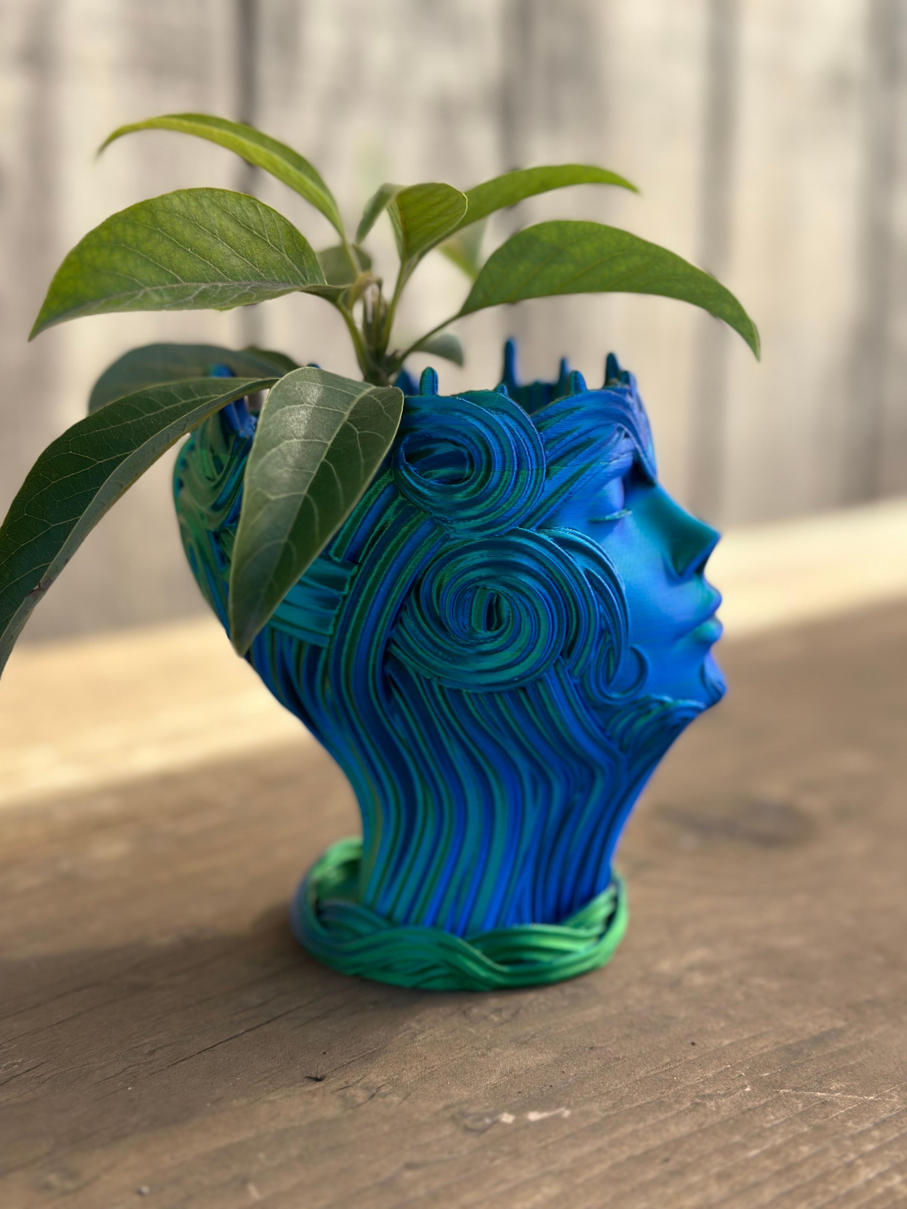 Woman's Head Planter Vase With Drain Holes and Water Catch Tray SUPPORT FREE  3d model