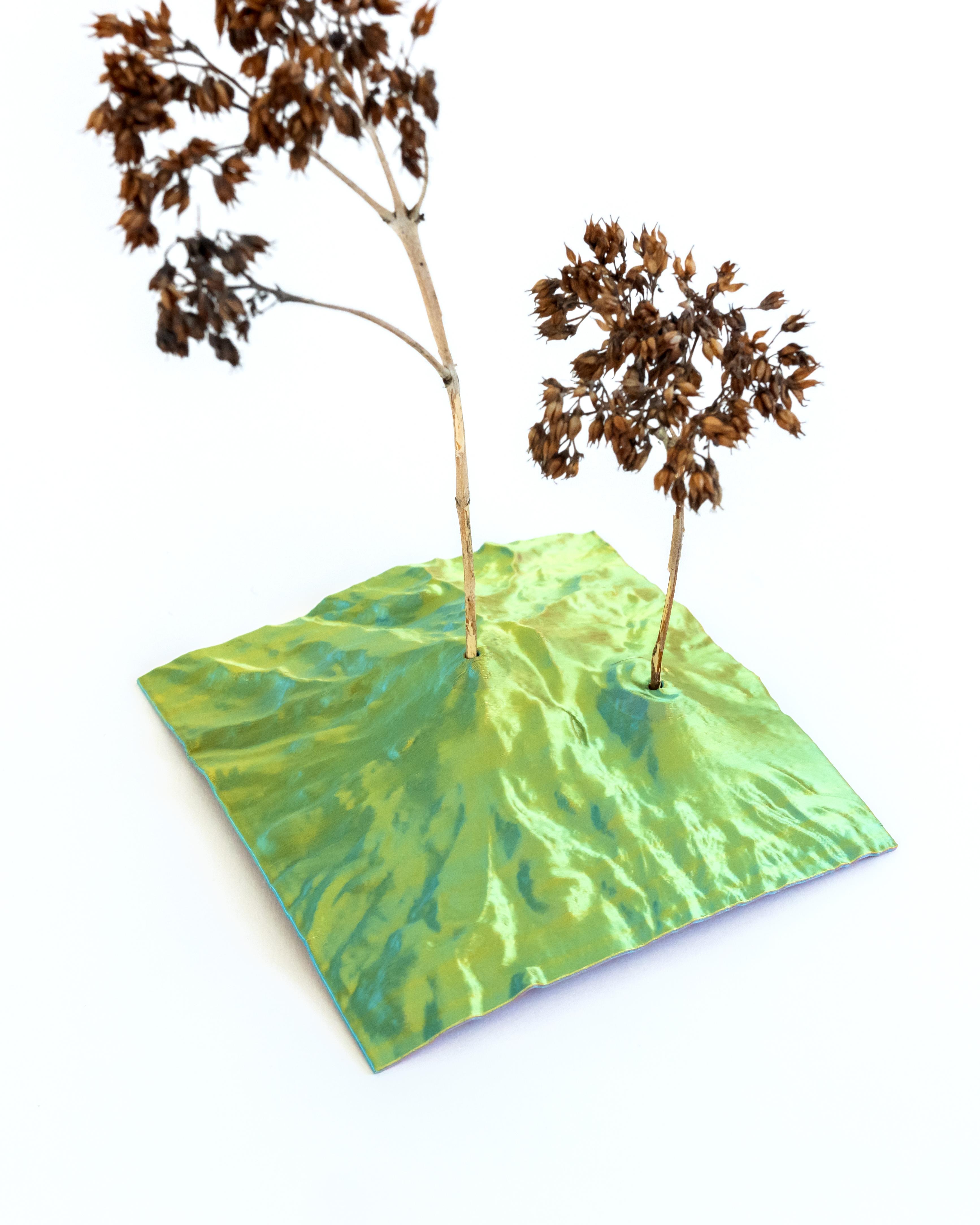 Hollow Mountains // Mt. Shasta Totem + Plant Holder 3d model