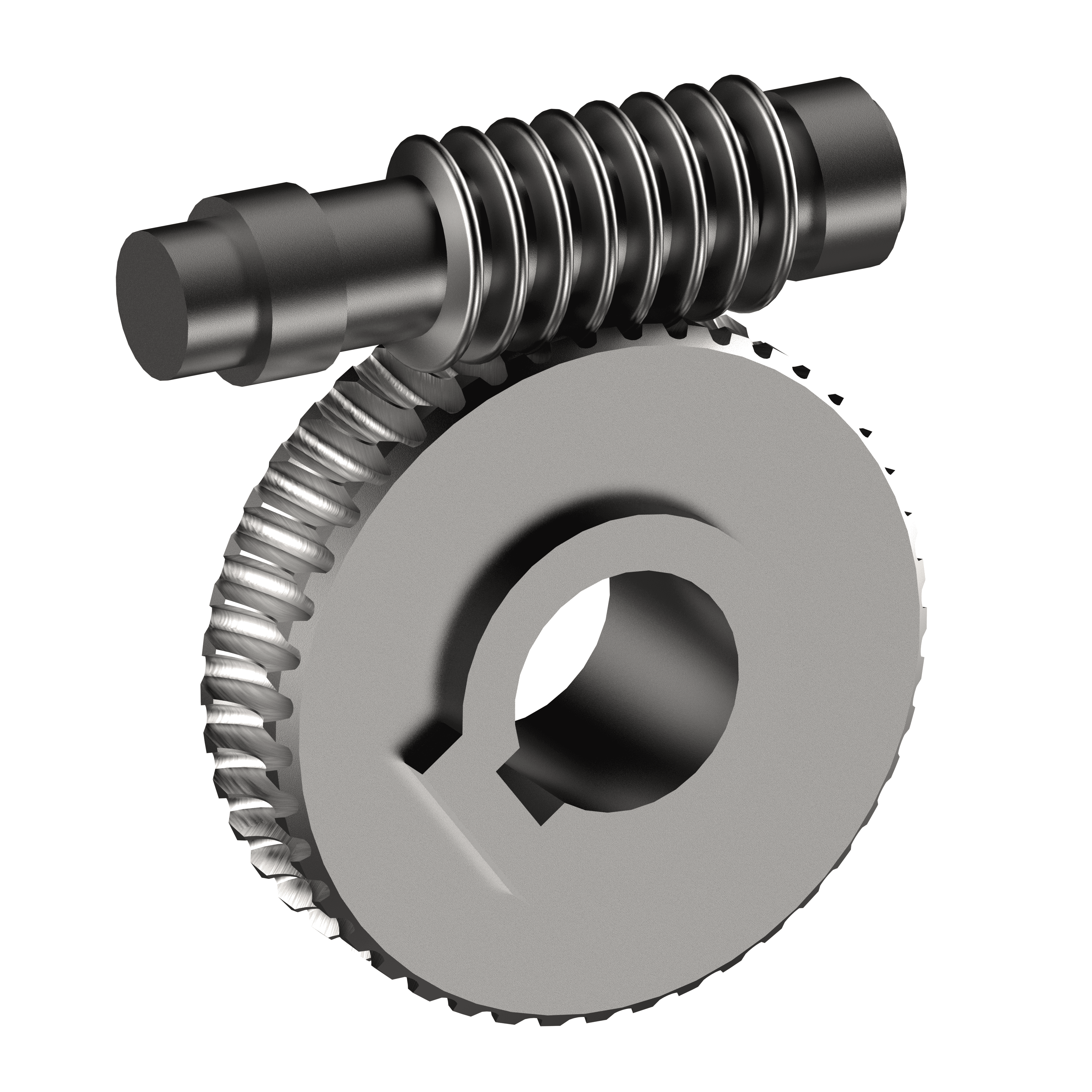 Worm gear 3d model