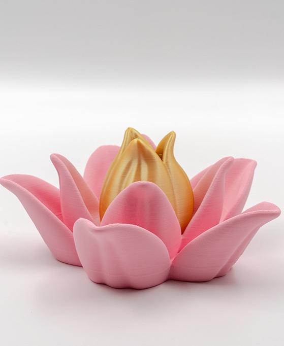 (Multifunctional) Lotus Flower 3d model