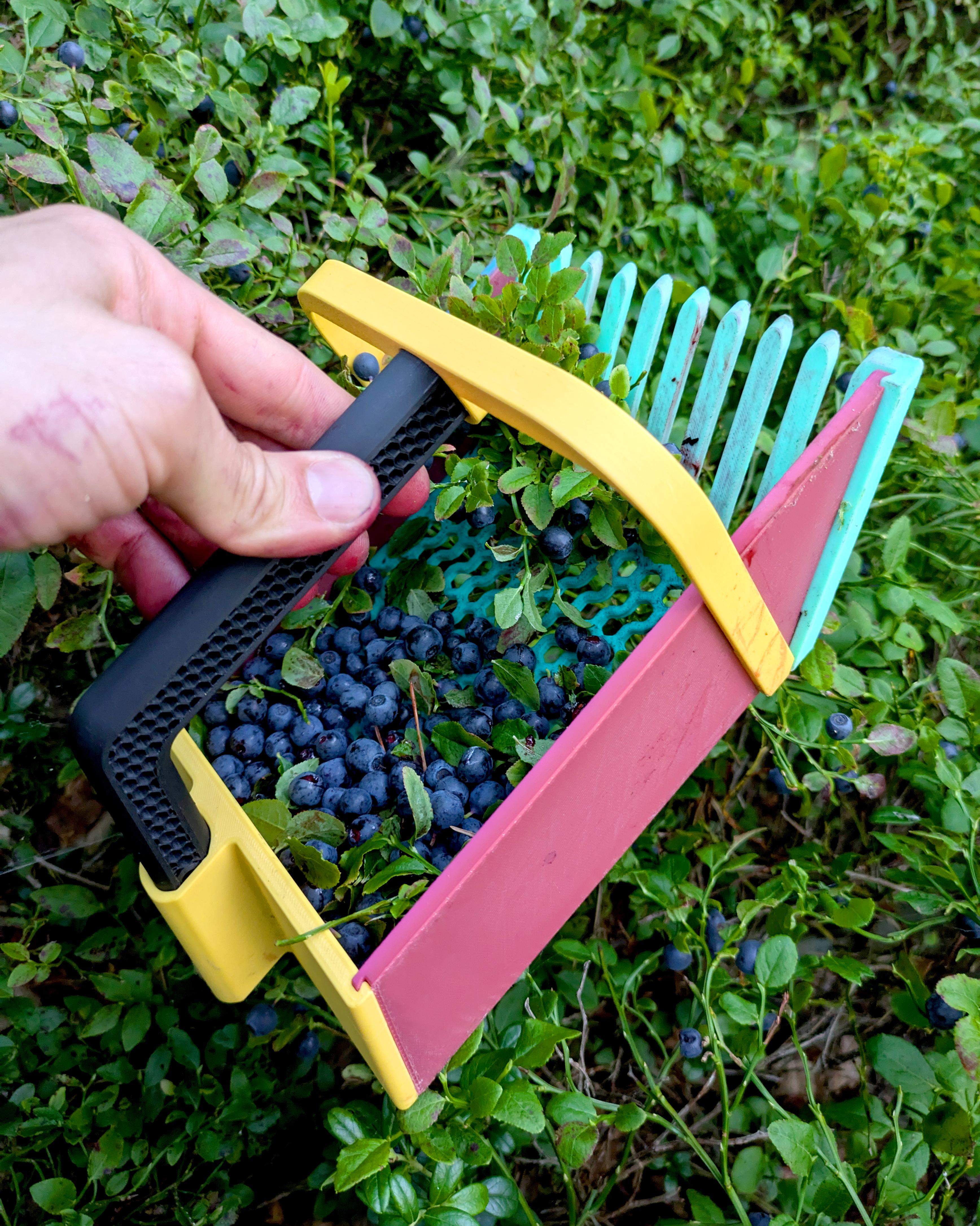 Blueberry Picker 3d model