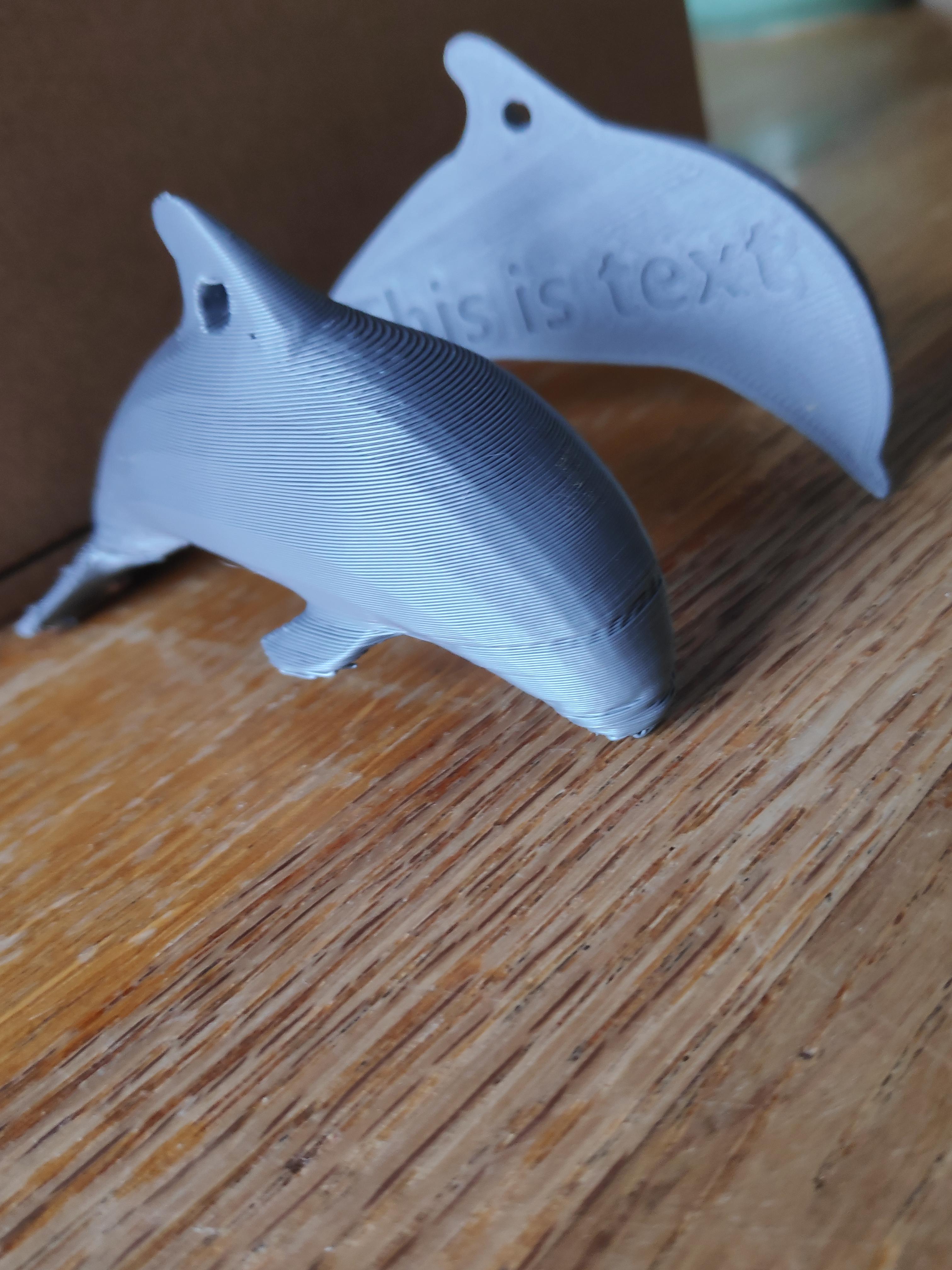 Dolphin 3d model