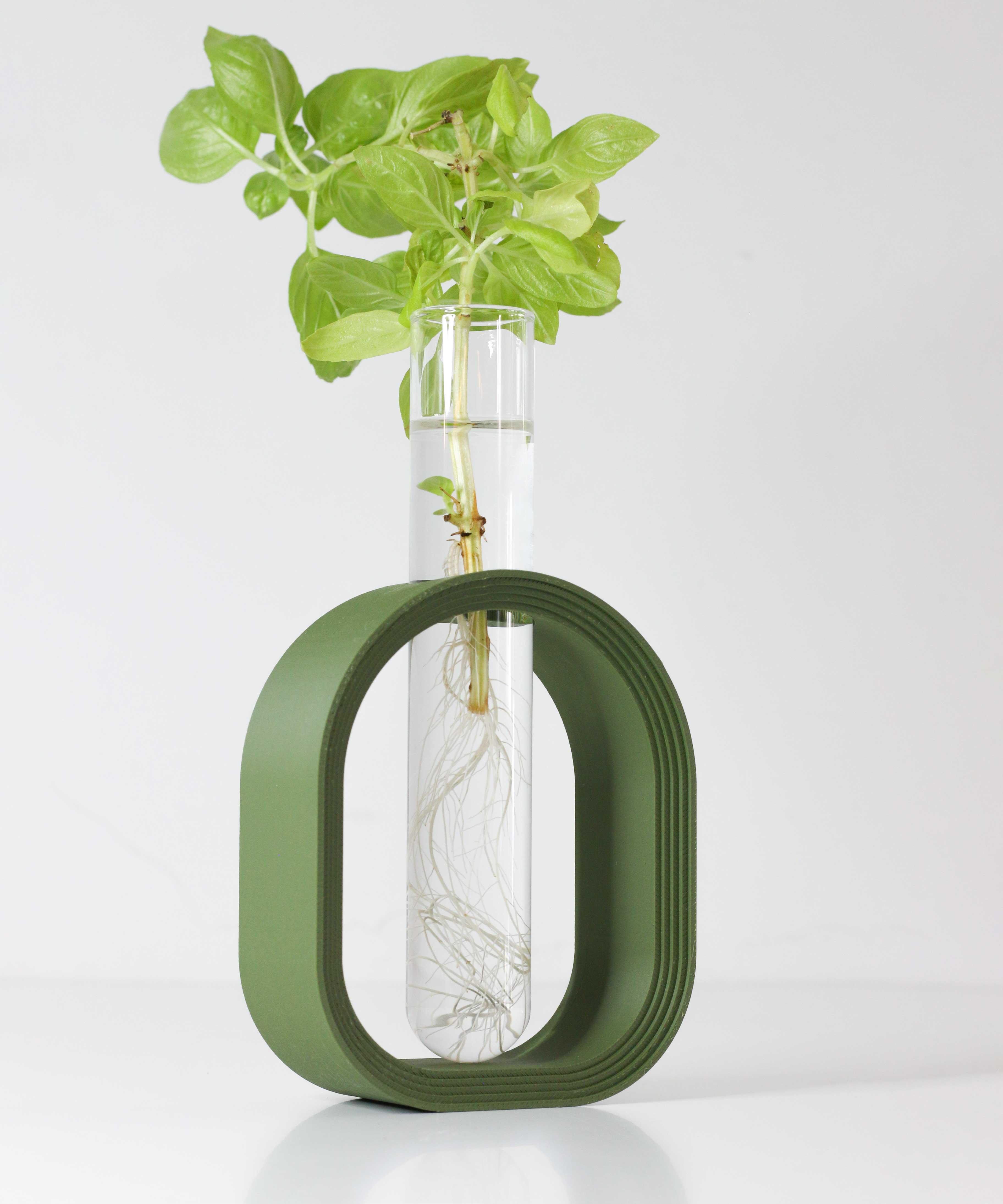 MODERN PLANT PROPAGATION HOLDER: GLASS TUBE STAND FOR EASY GROWTH 3d model