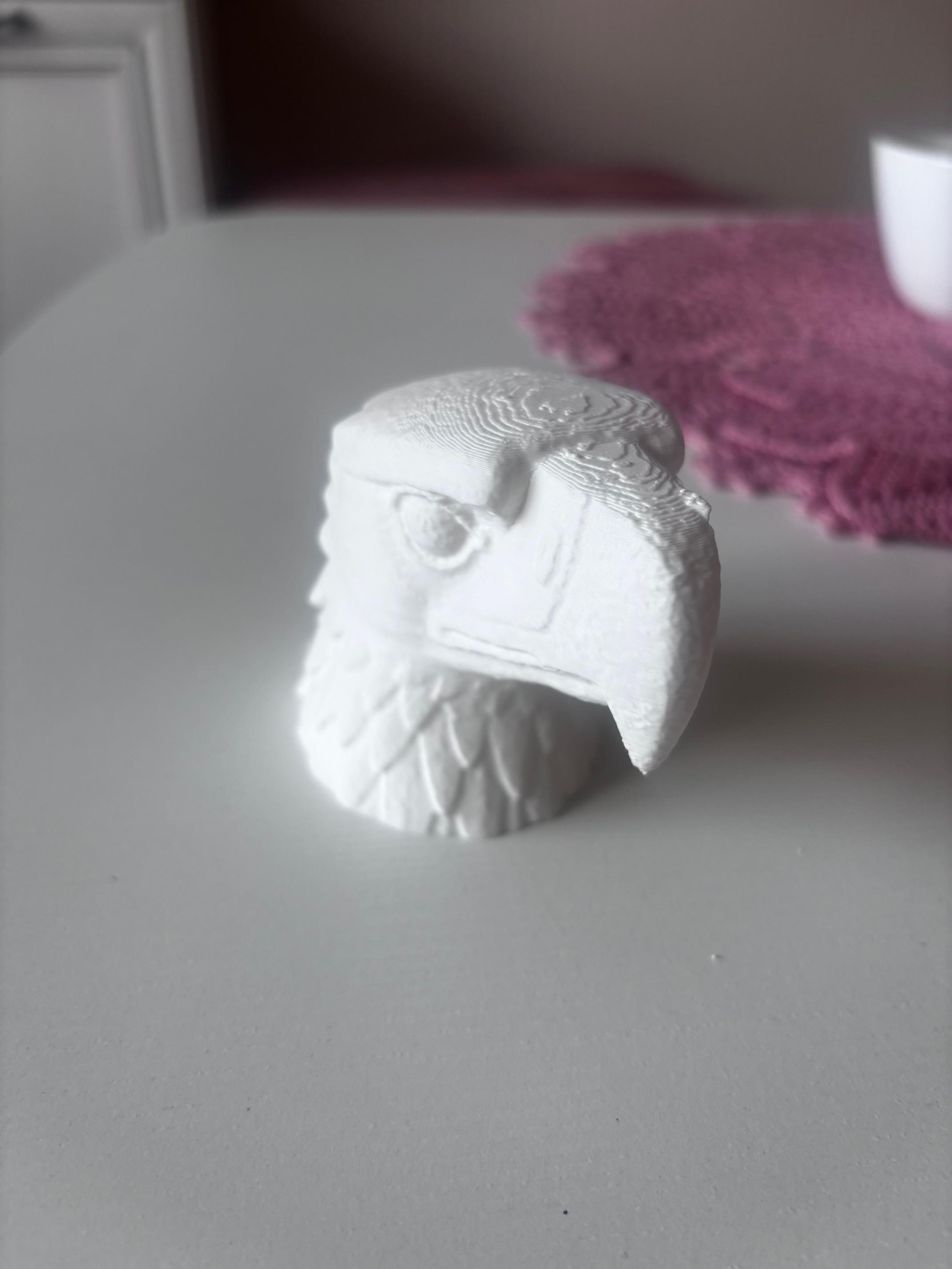 Eagle head 3d model