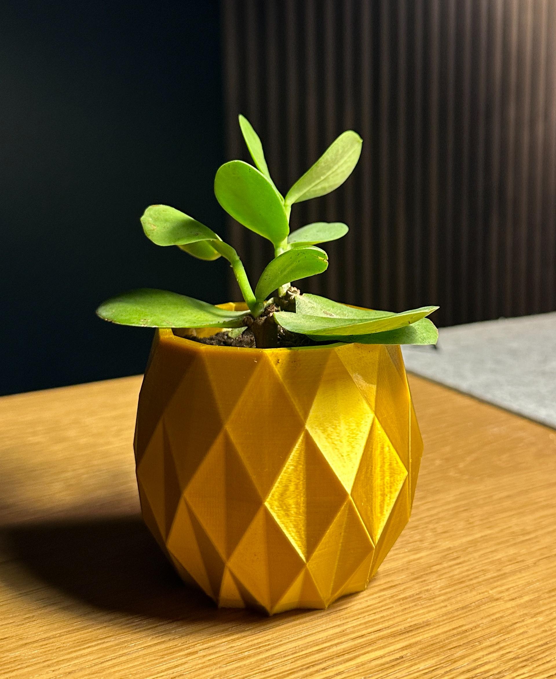 The Pineapple Planter ~  Planter ~ Free! 3d model