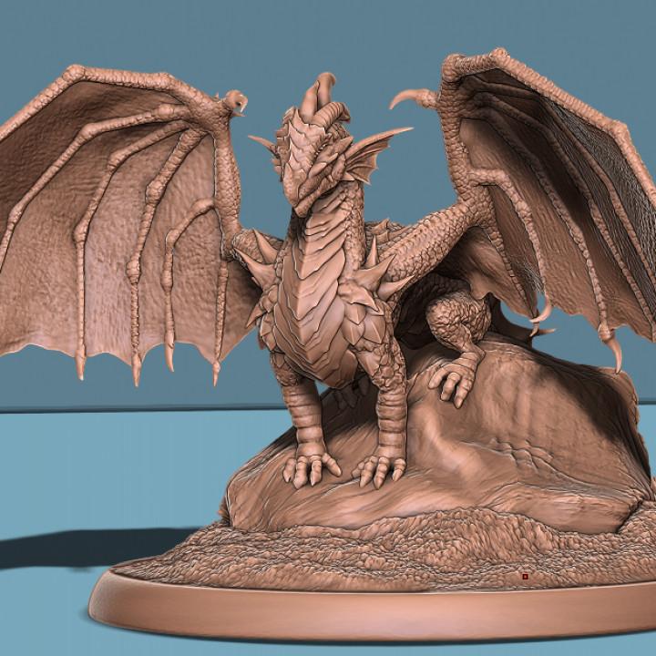 Young Red Dragon 3d model