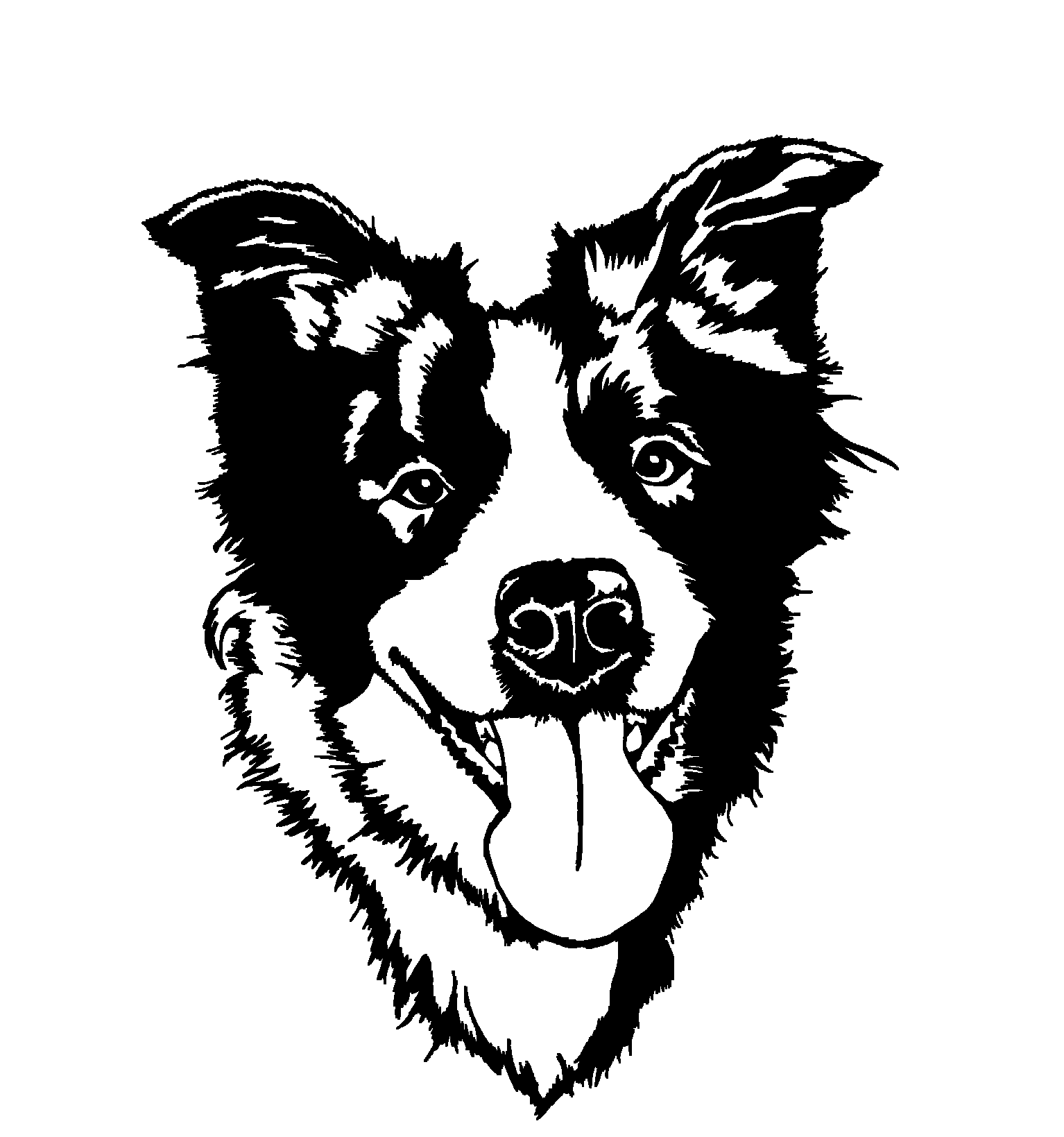 "Bala" the Border Collie wallart 3d model