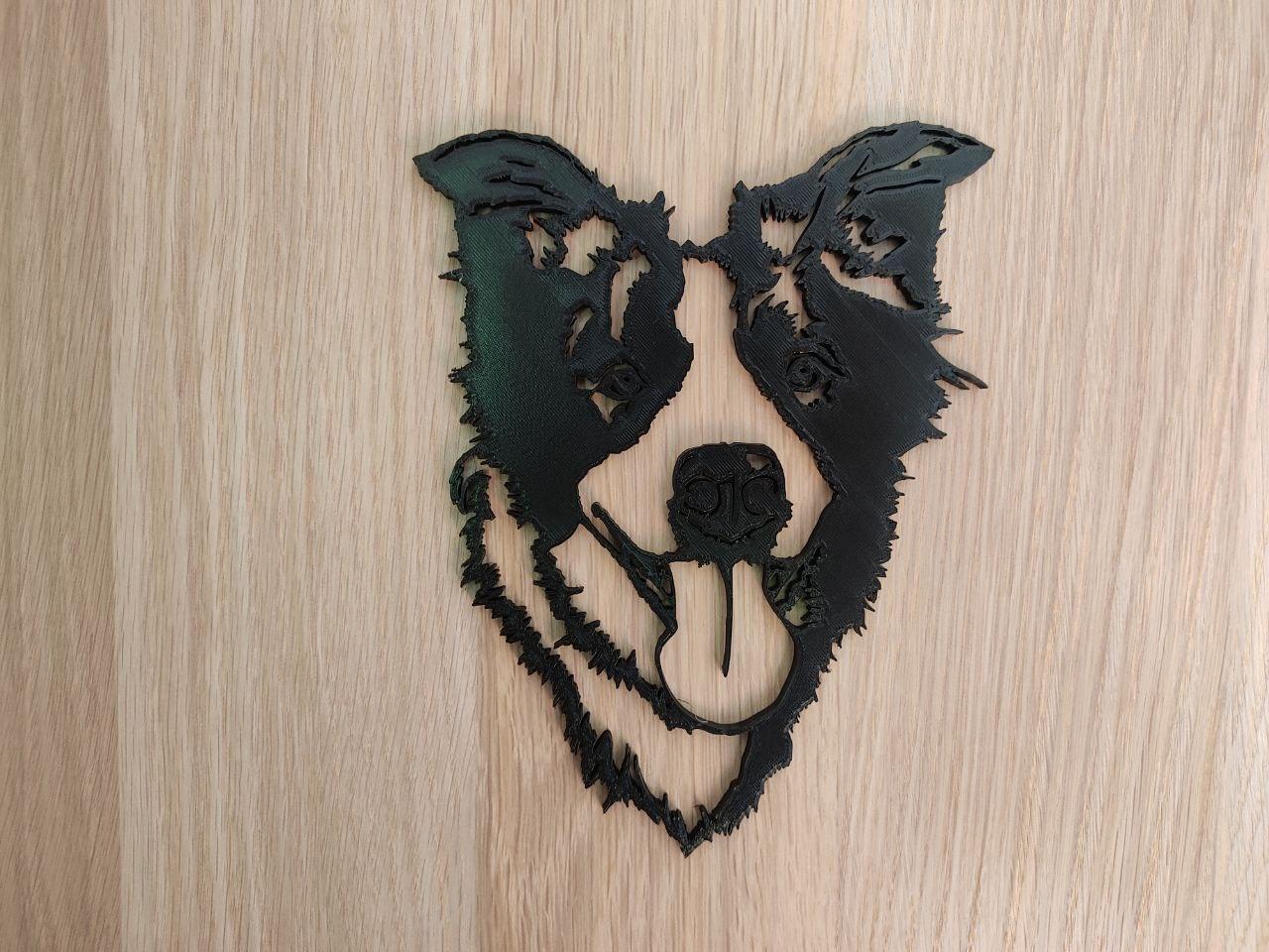 "Bala" the Border Collie wallart 3d model