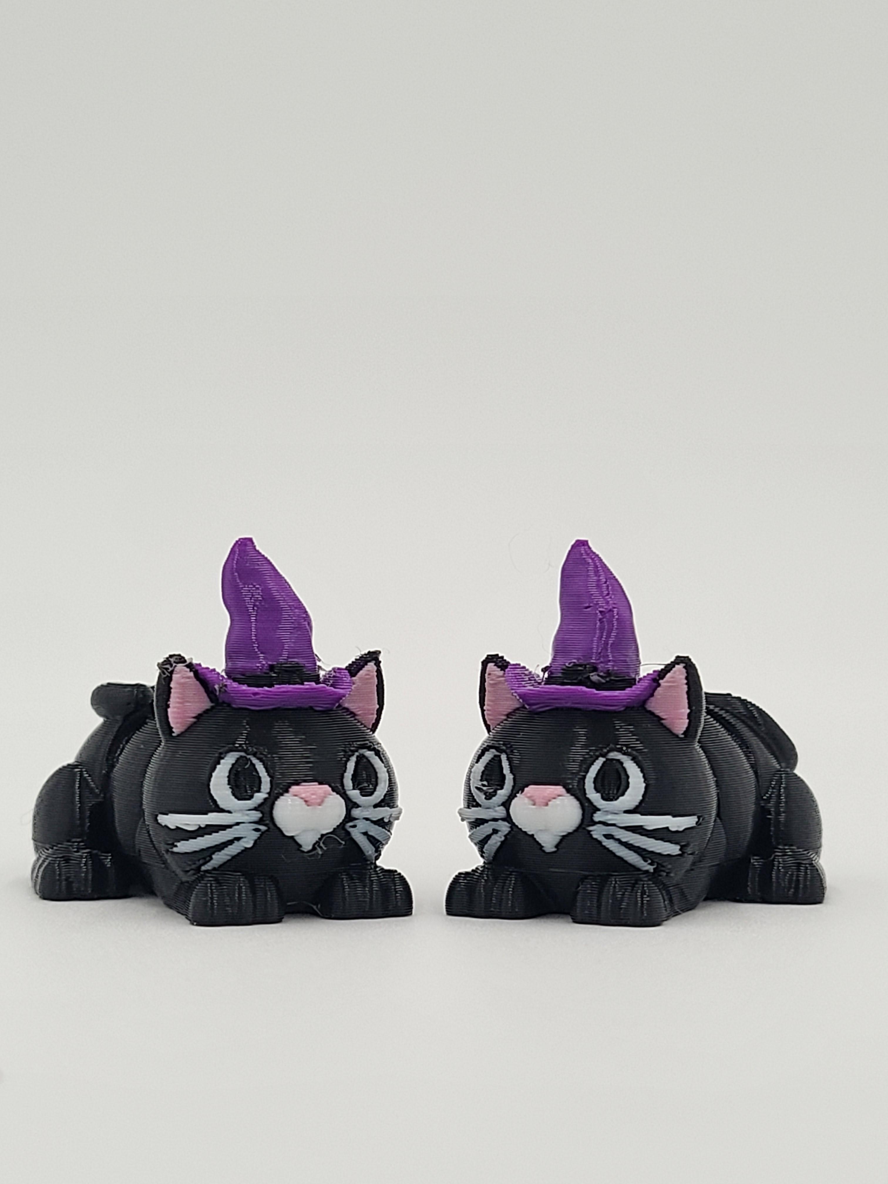 Witch Hat Snappy Cat - Articulated Snap-Flex Fidget (Medium Tightness Joints) 3d model