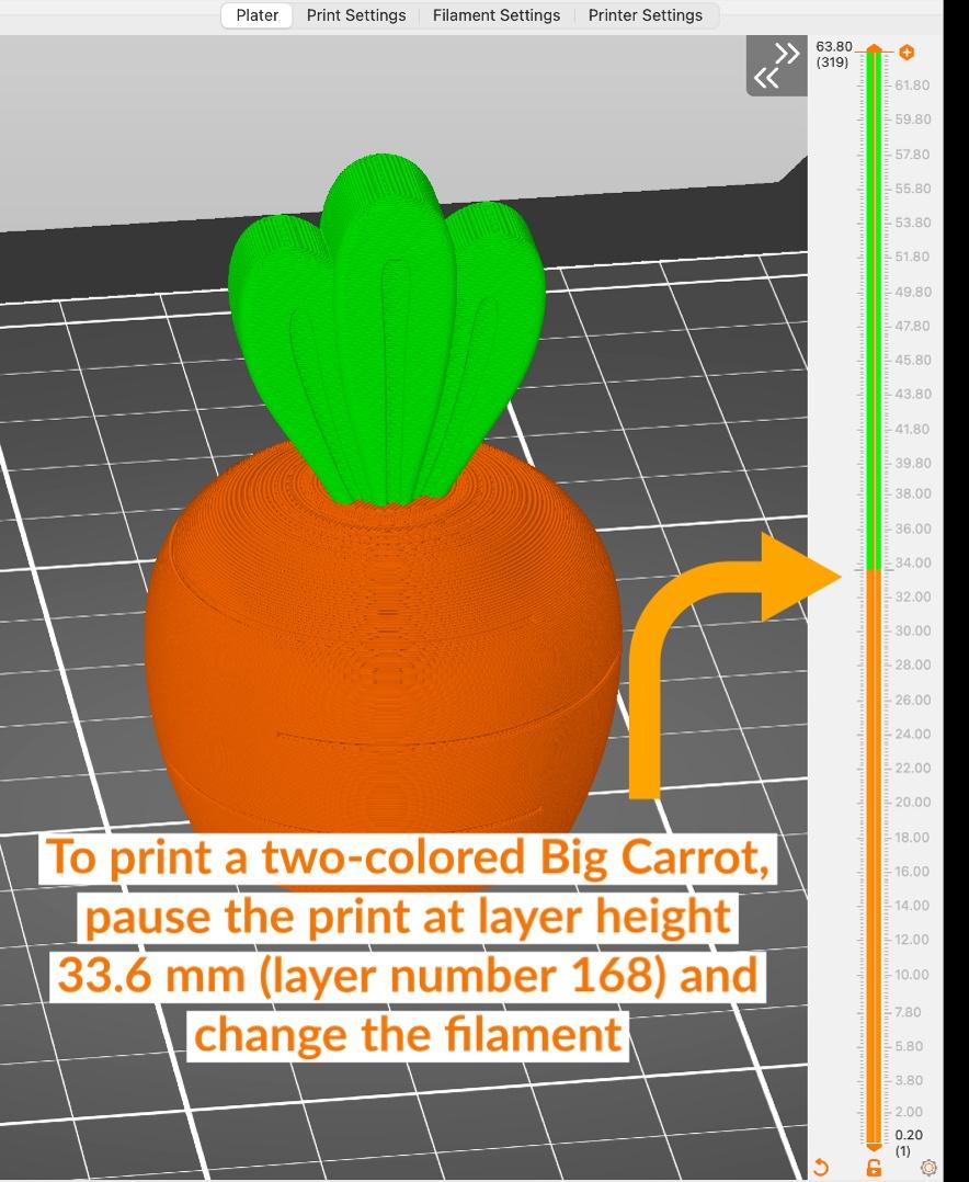 Carrot Garden 3d model