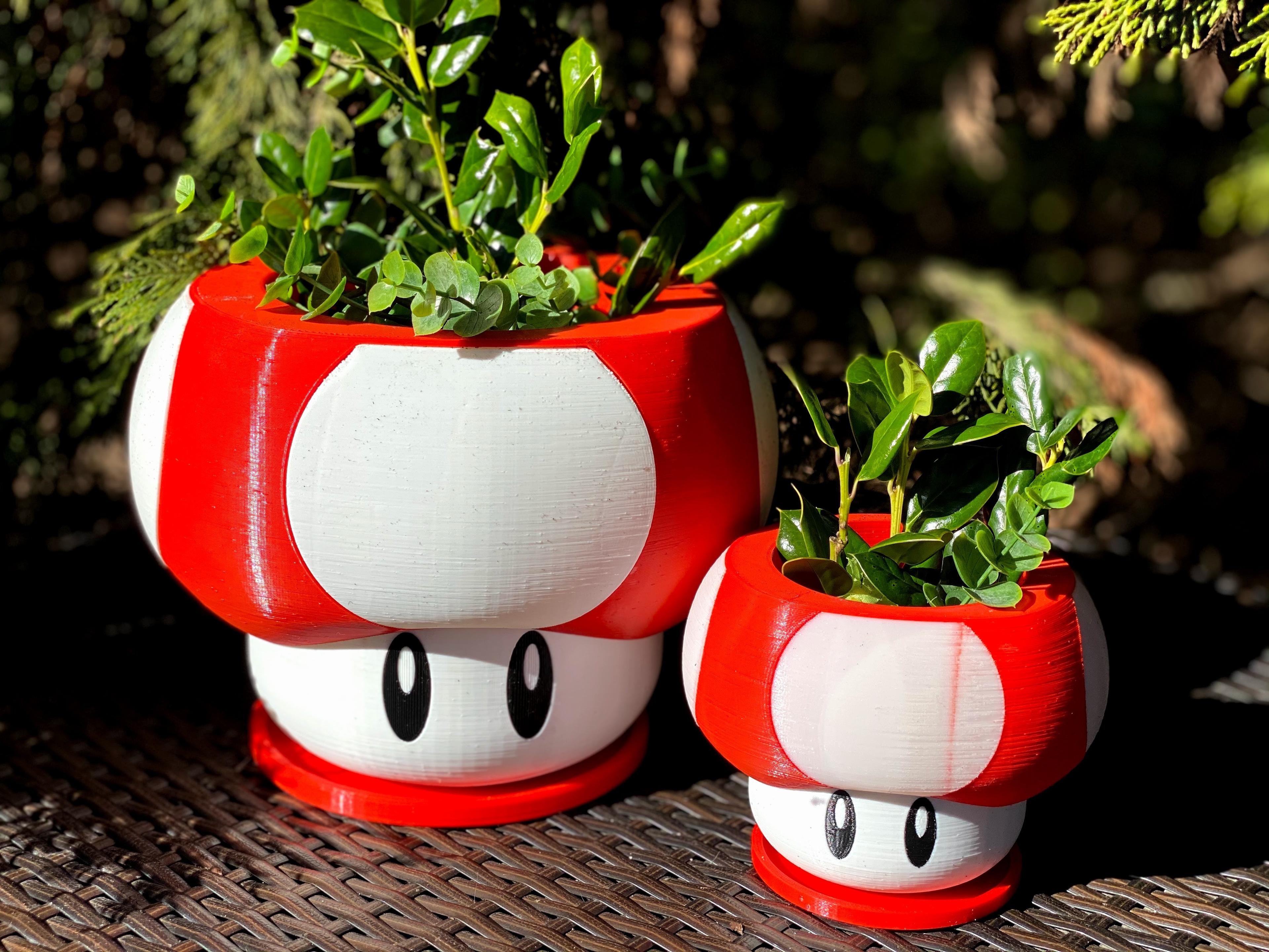 Mario Themed Mushroom Planter  3d model