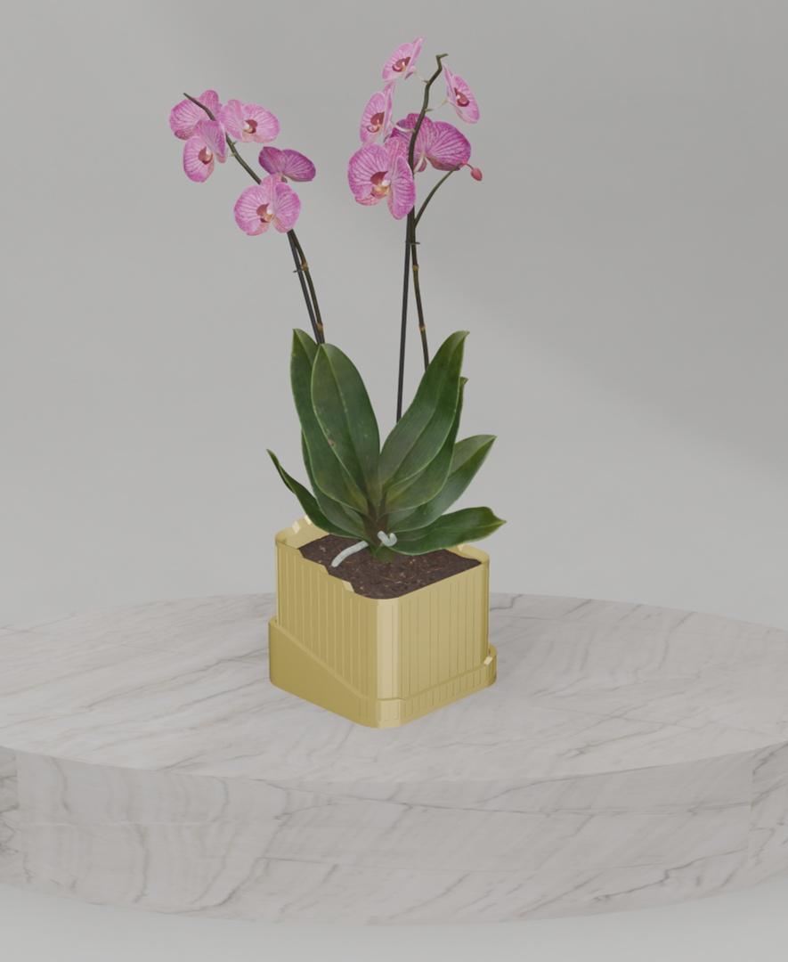 This planter includes a bowl-shaped drip tray to ensure your plants have adequate drainage. 3d model