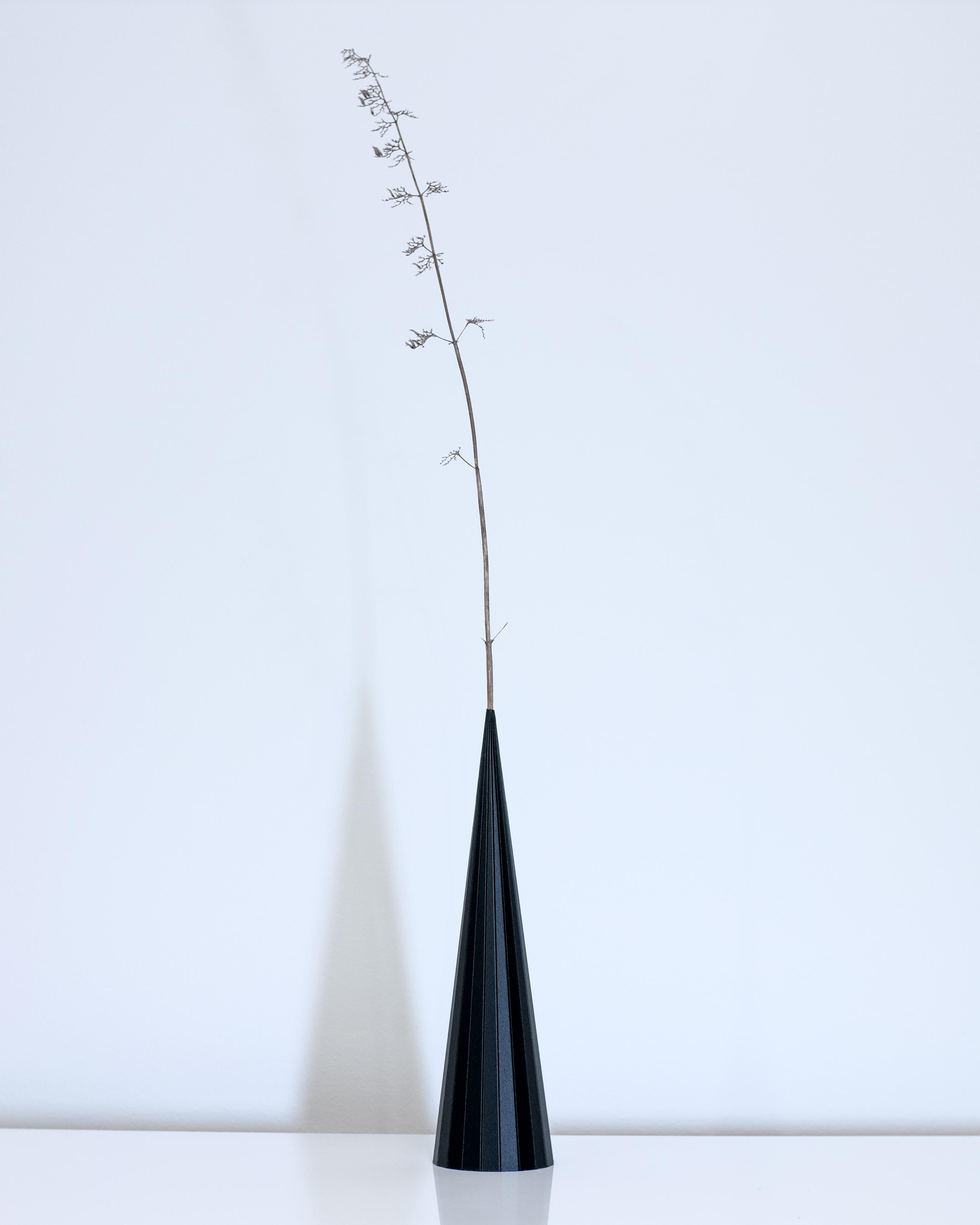 PLEIADES Cone // 67 mm x 250 mm 3d model