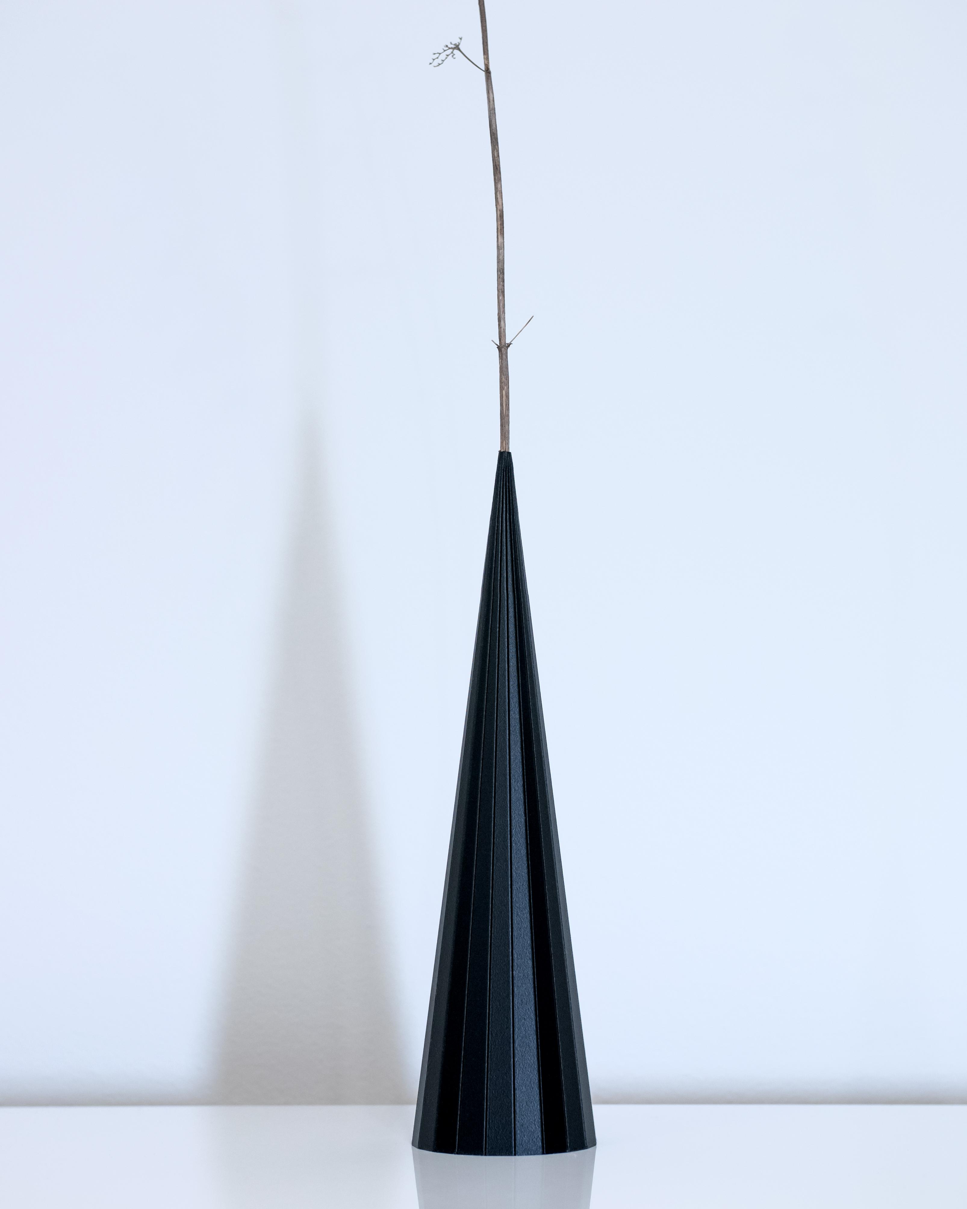 PLEIADES Cone // 67 mm x 250 mm 3d model