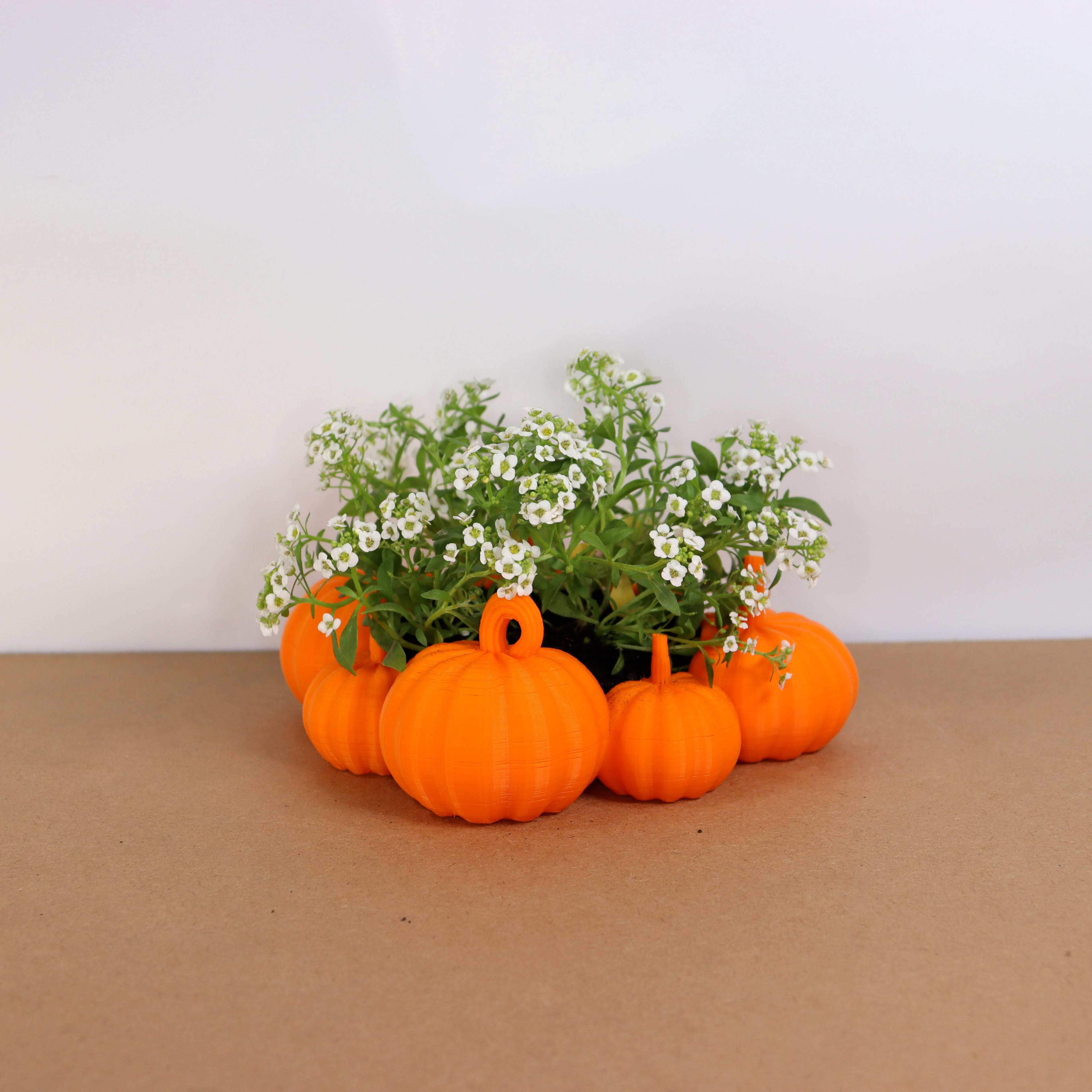 Pumpkin patch planter 3d model