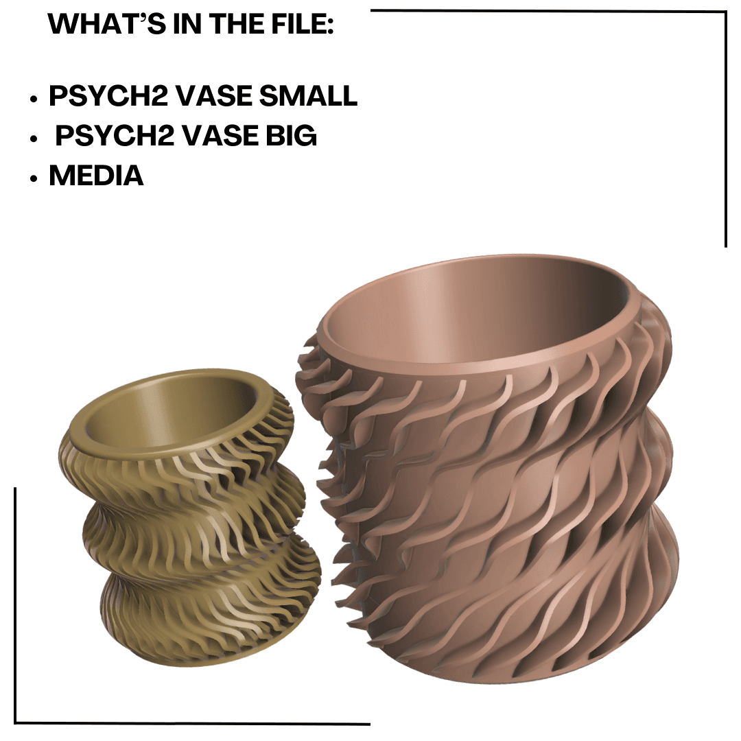 Psych Vase Collection  3d model