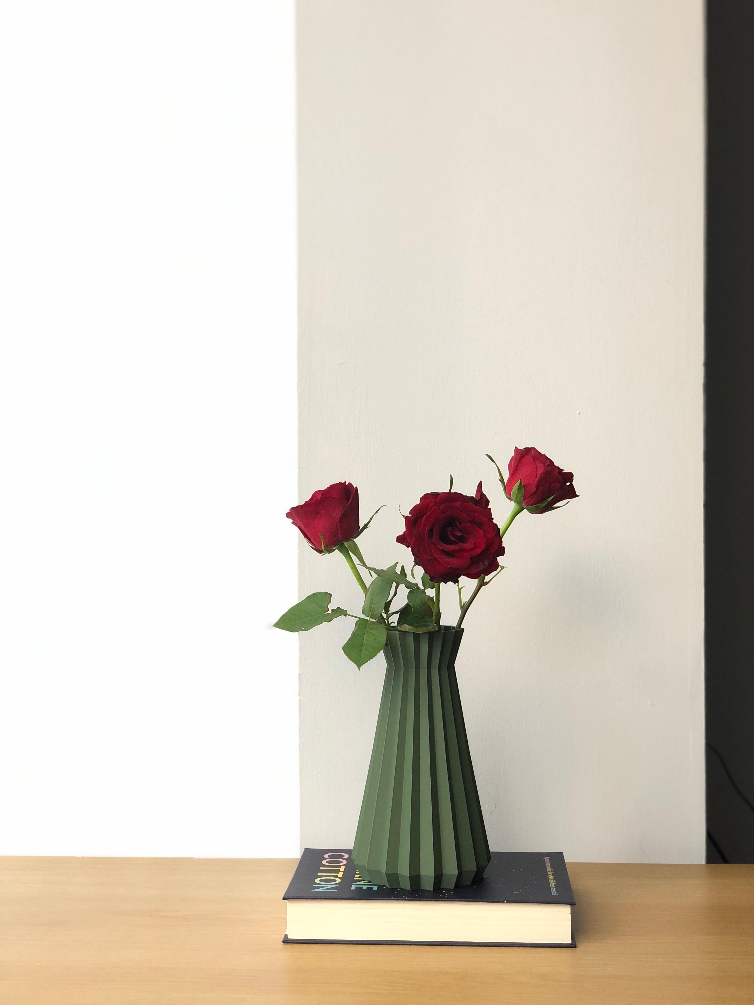 Modern Indoor Vase - Hera 3d model