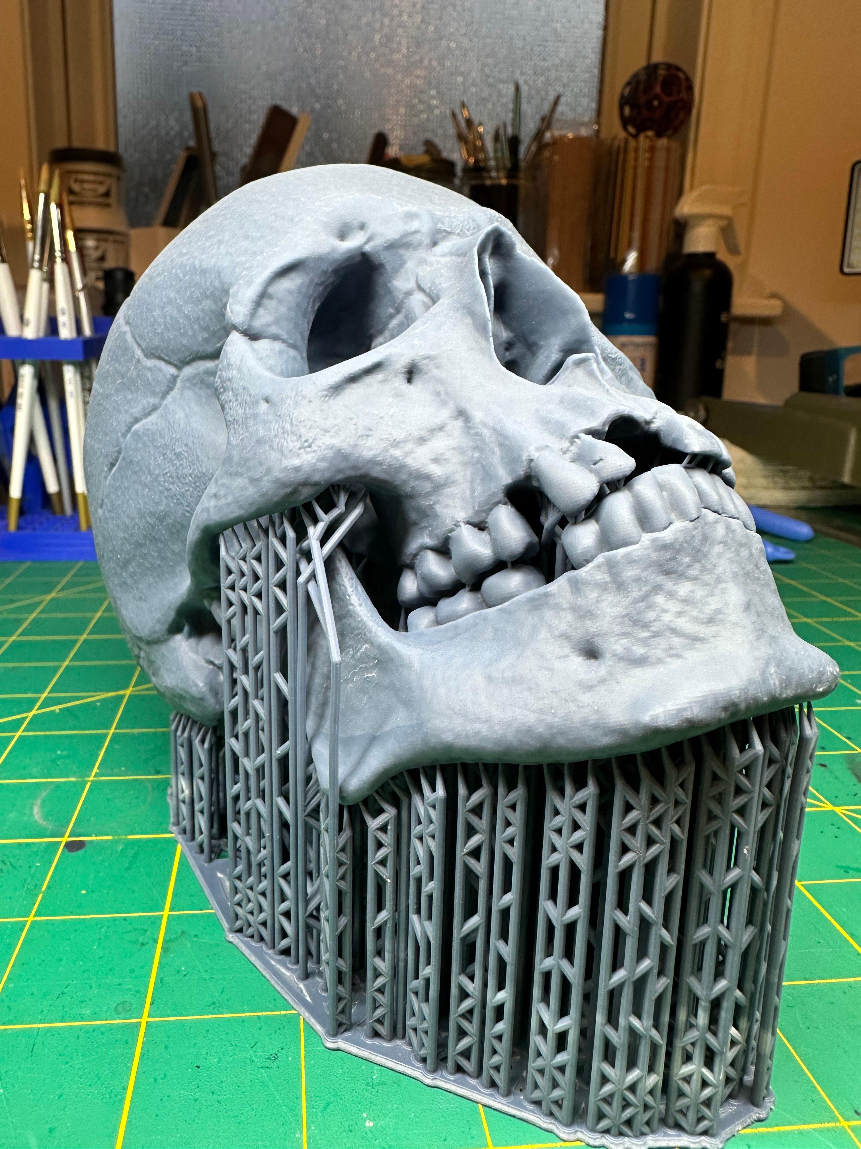 One-Eyed Willy Skull from Goonies 3d model