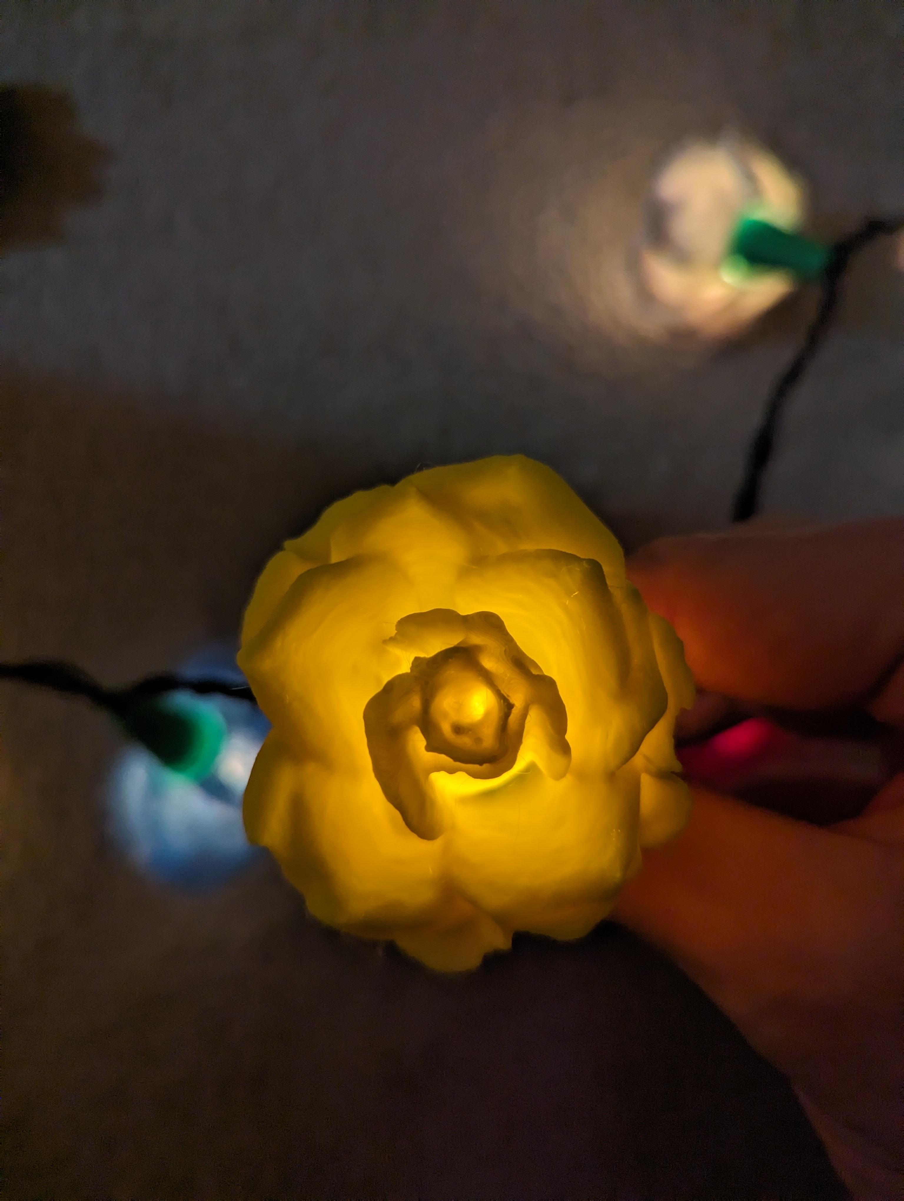 Rose Lights - clip on fairy light covers 3d model