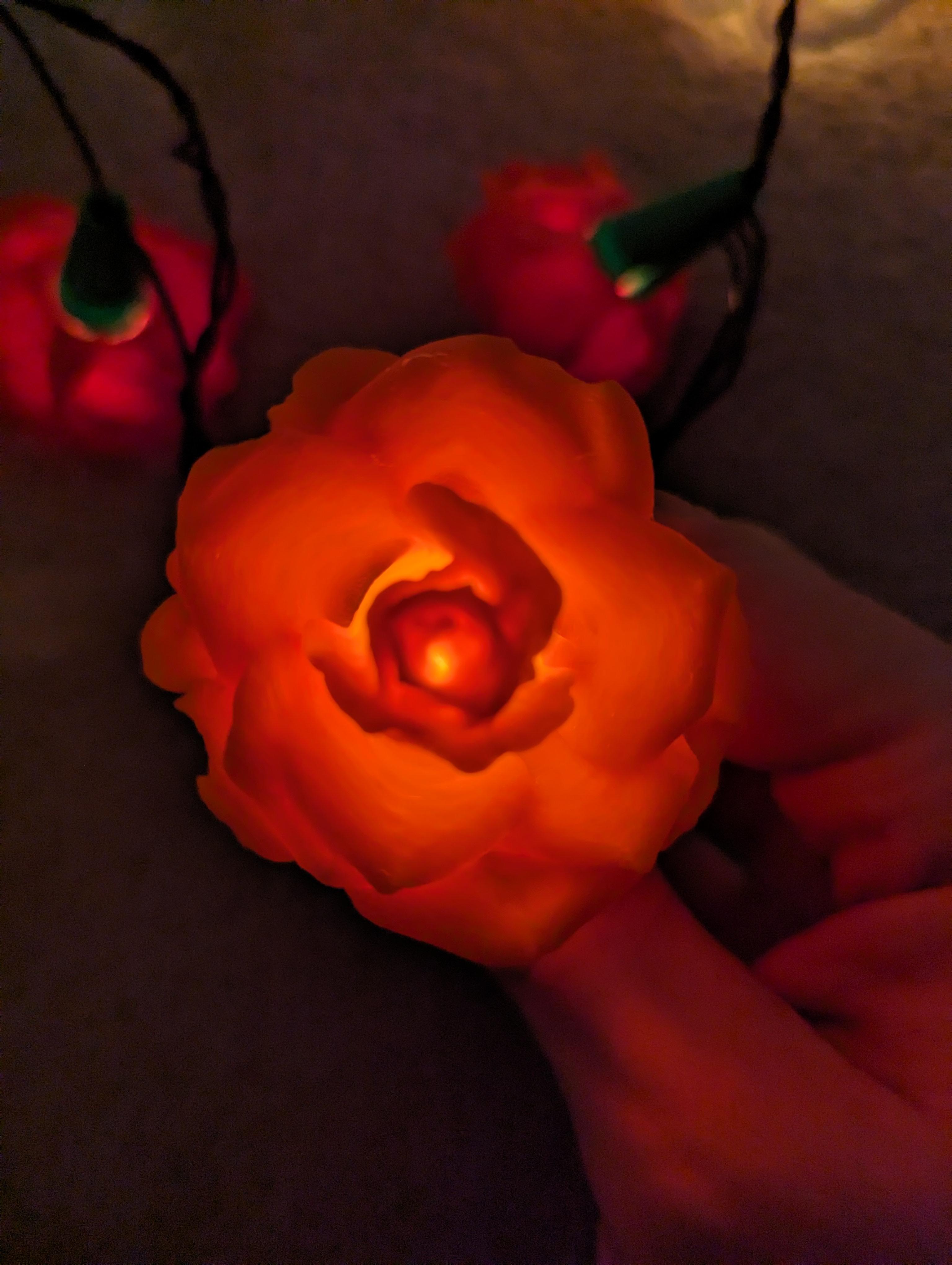 Rose Lights - clip on fairy light covers 3d model