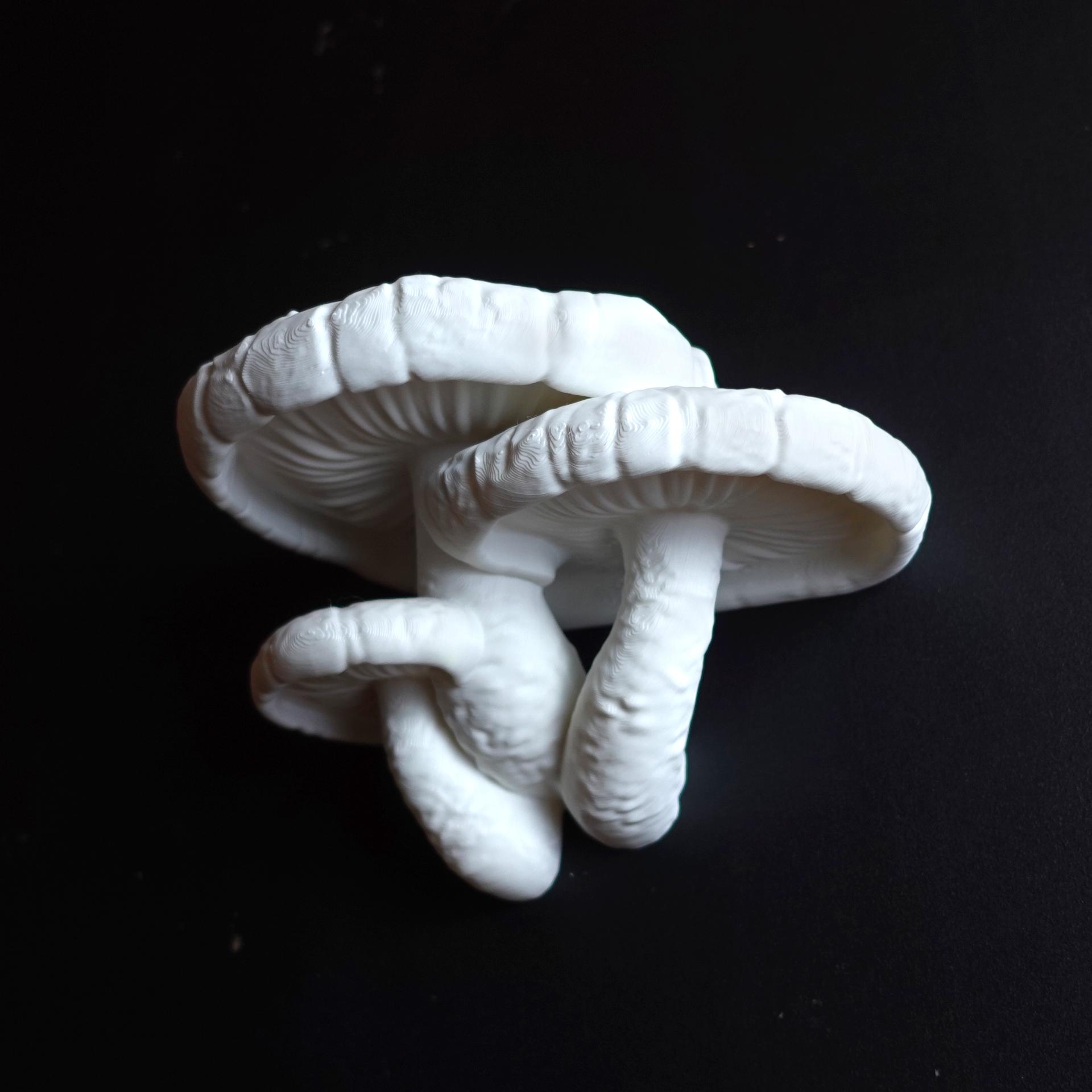 Mushroom shelf “Lentinula Edodes” 3d model