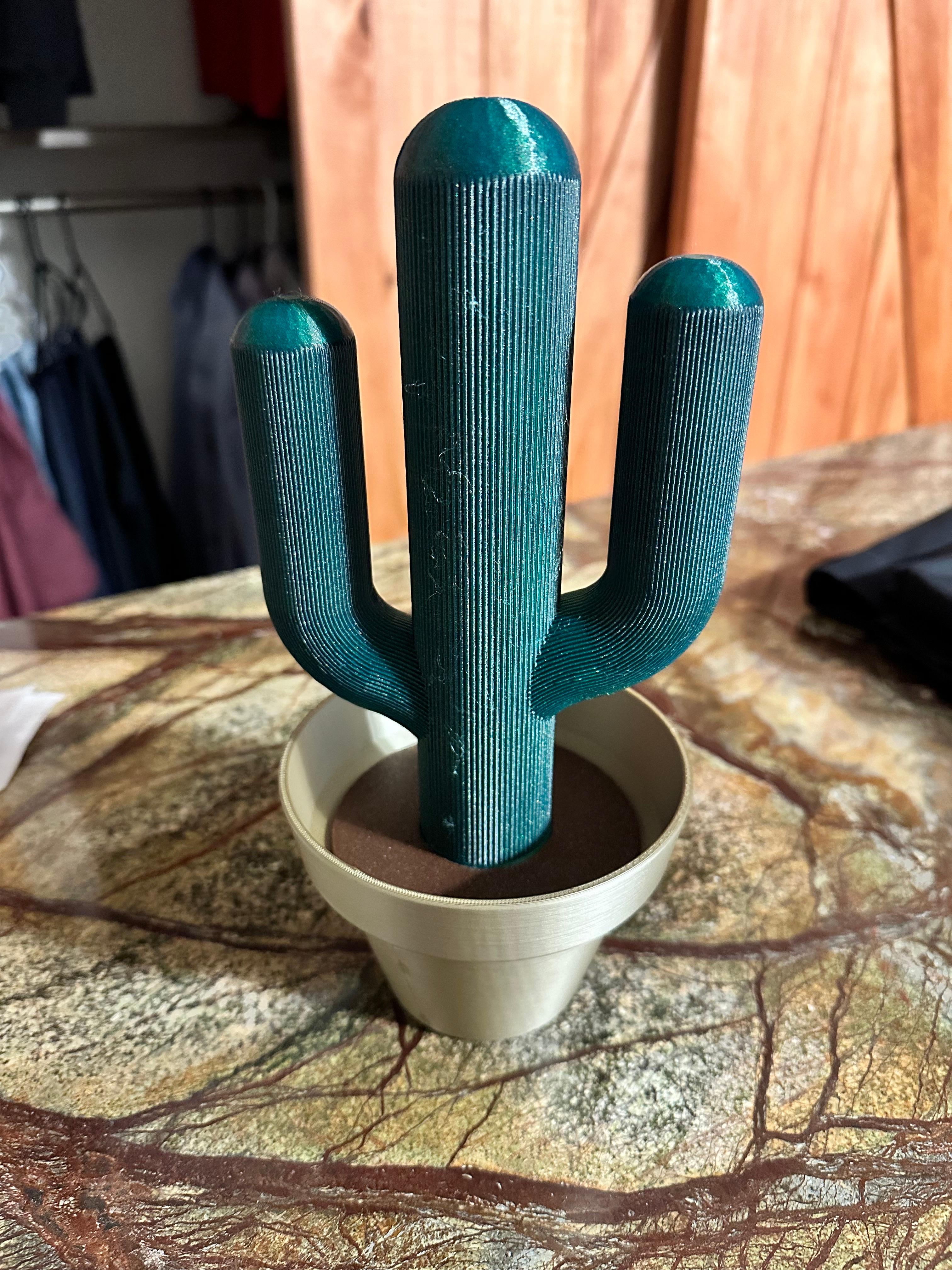 Cactus Functional Art - Stash Container #FunctionalArt #FunctionalArt 3d model