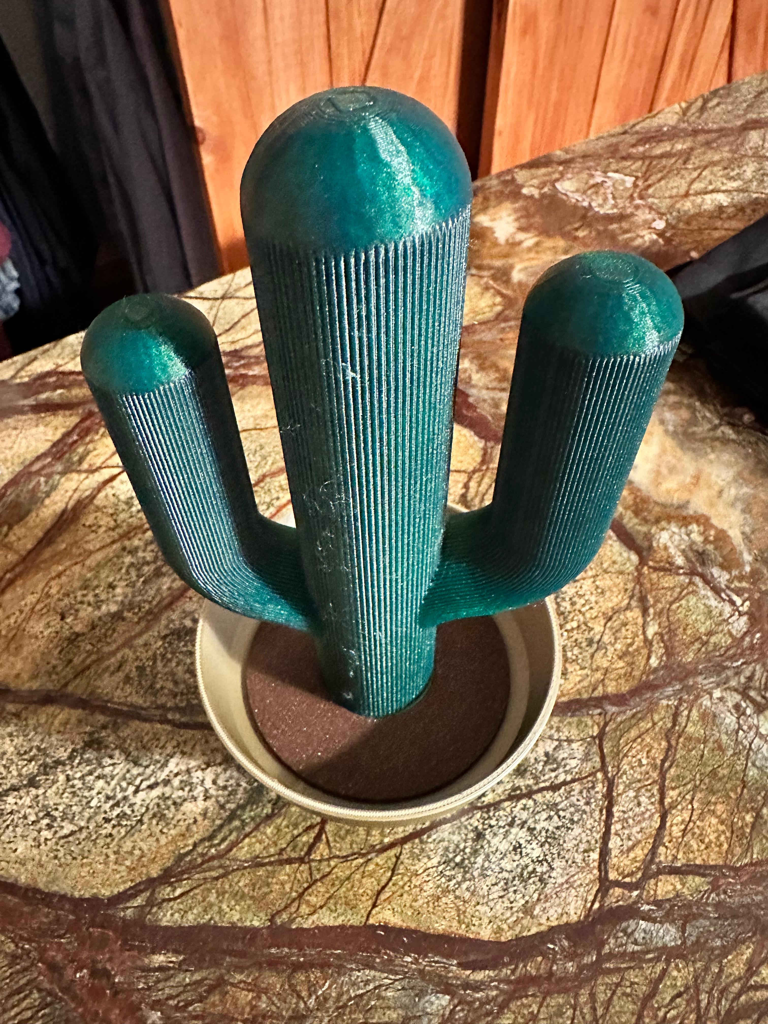 Cactus Functional Art - Stash Container #FunctionalArt #FunctionalArt 3d model