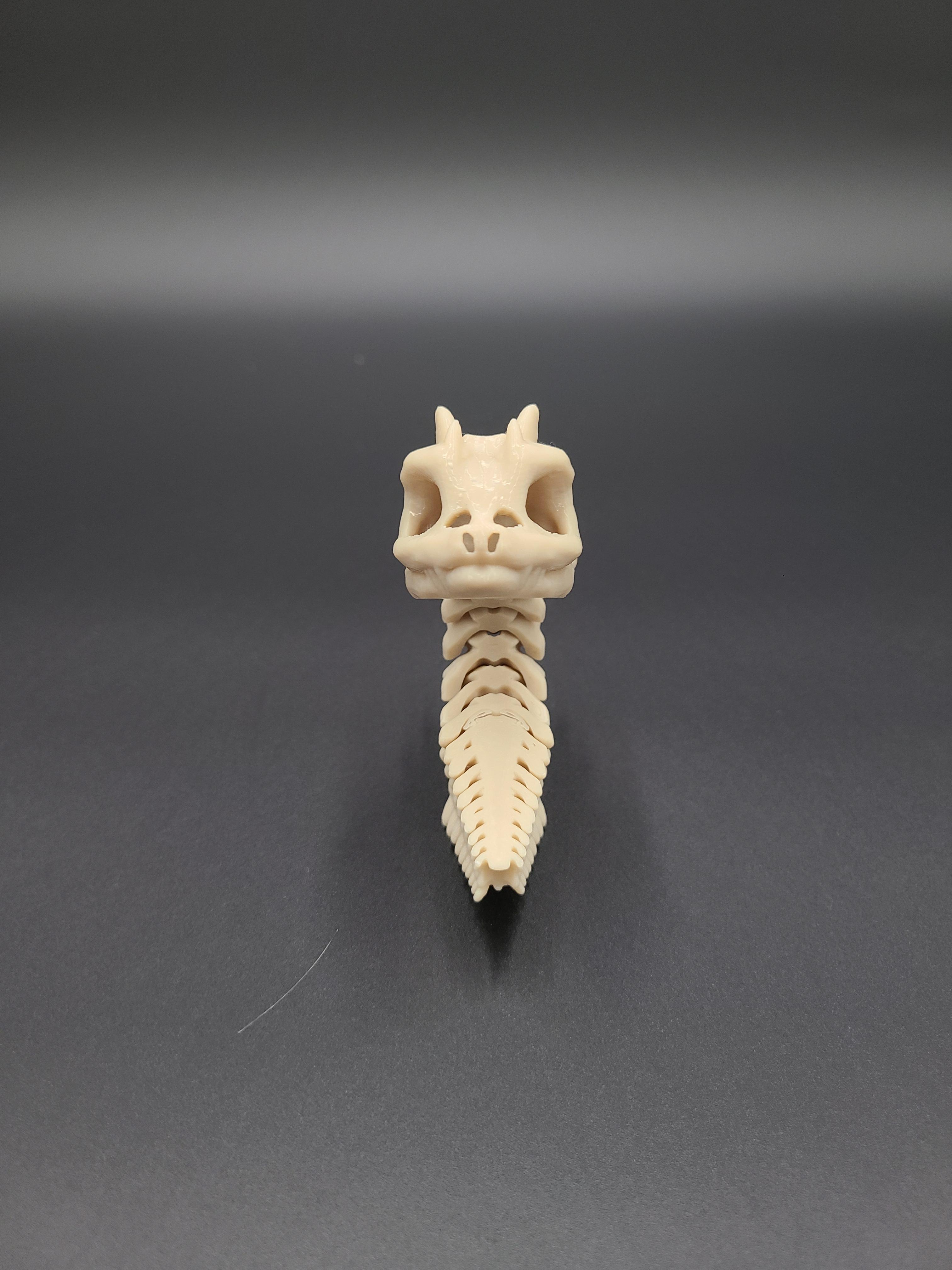 Short Bony Basilisk - Articulated Snap-Flex Fidget (Loose Joints) 3d model