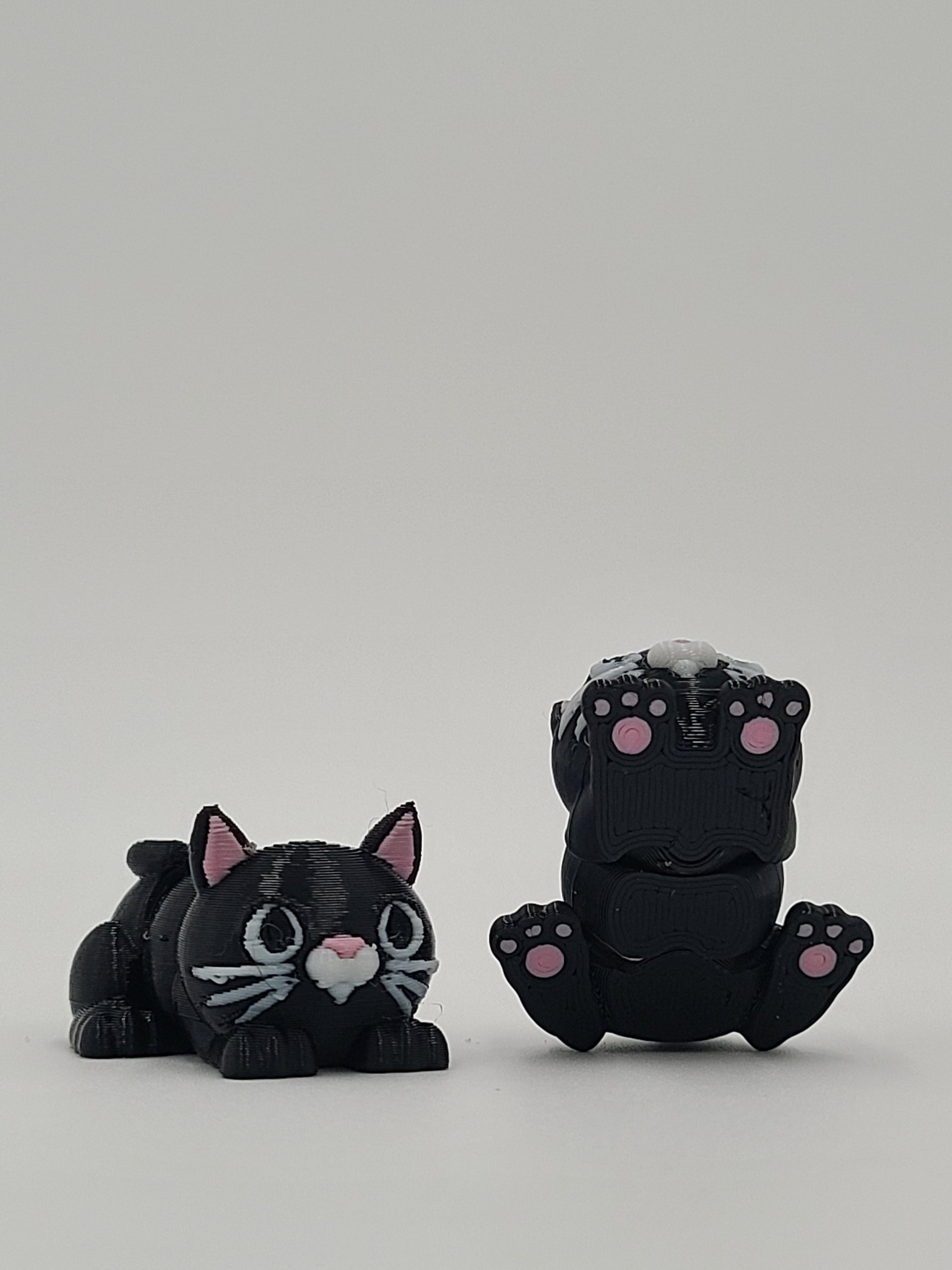 Snappy Cat - Articulated Snap-Flex Fidget (Loose Joints) 3d model