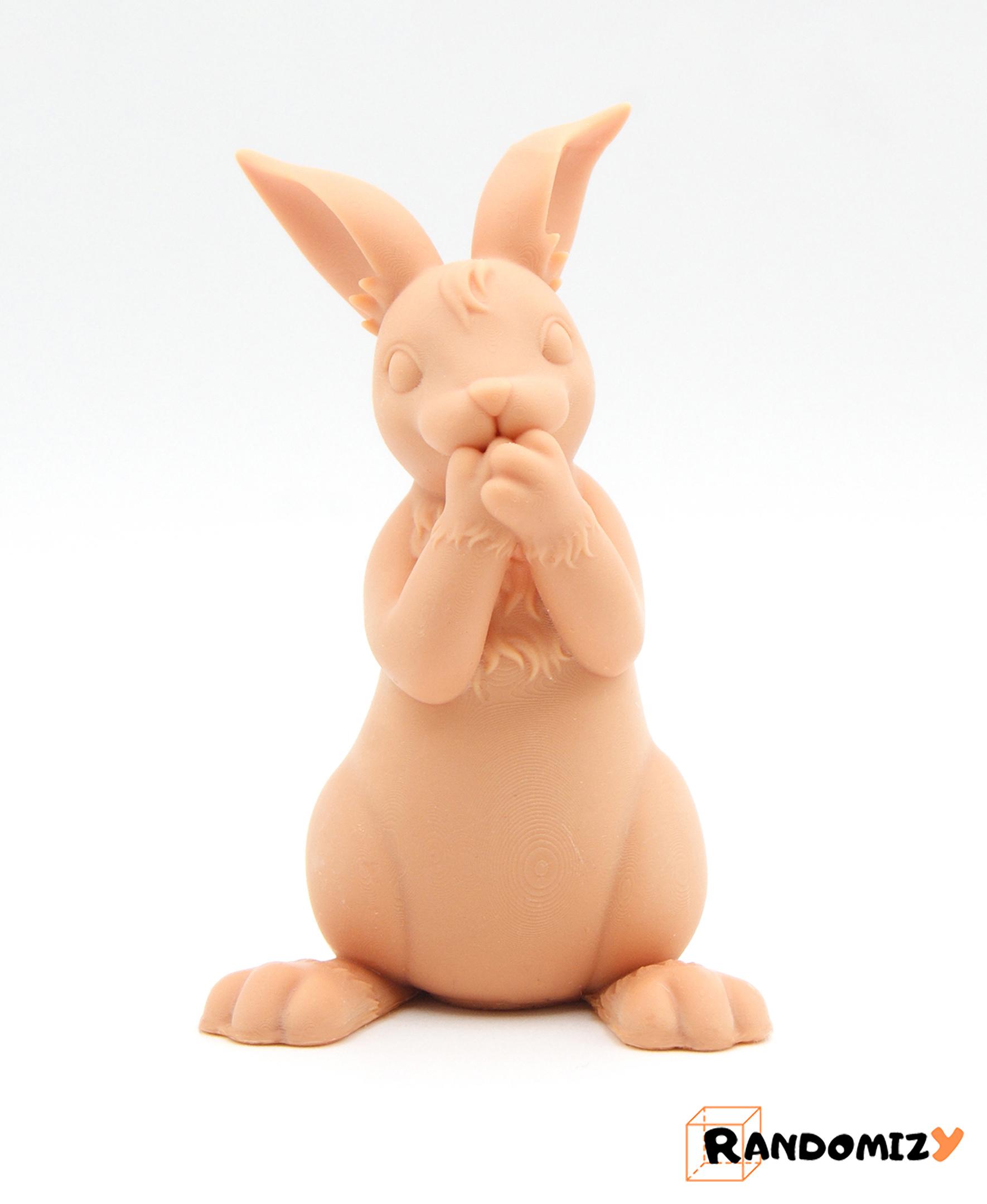 Three Wise Rabbits 3d model