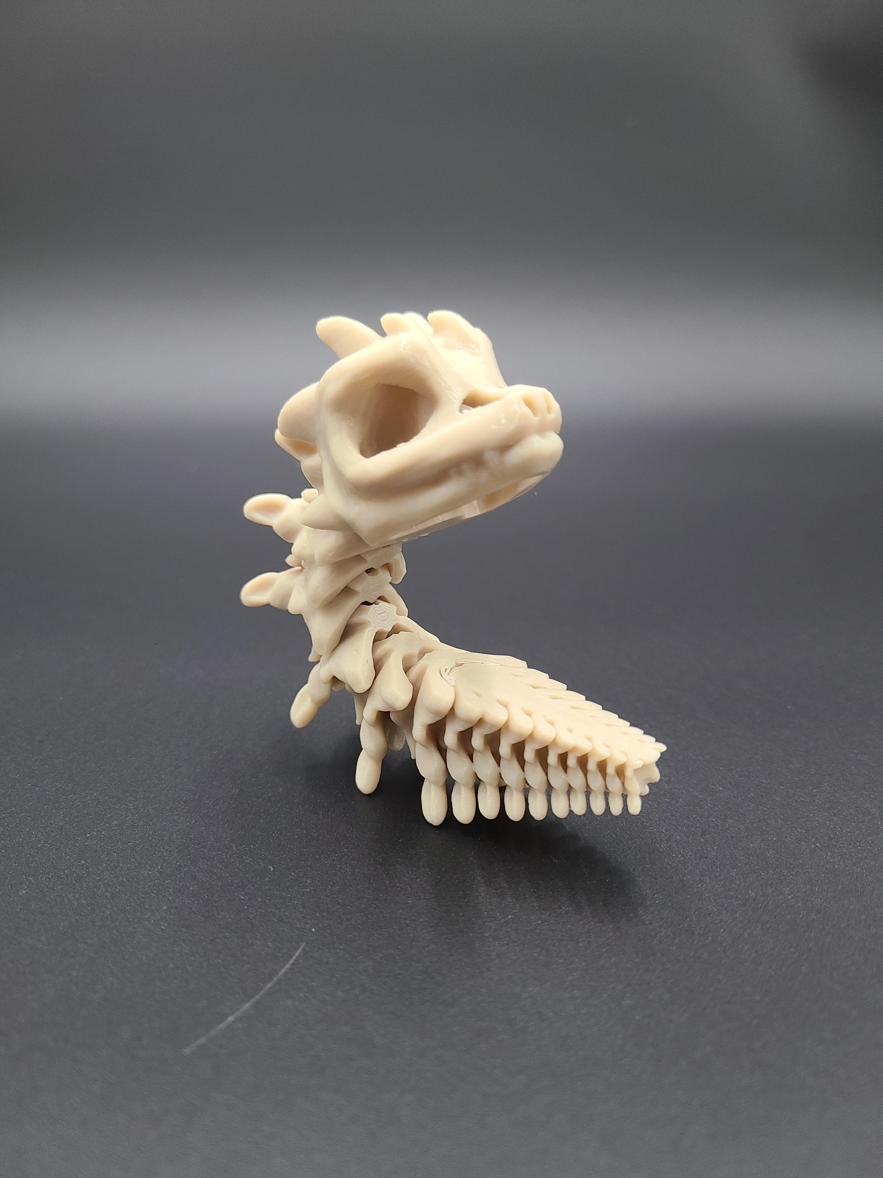 Short Bony Basilisk - Articulated Snap-Flex Fidget (Medium Joints) 3d model