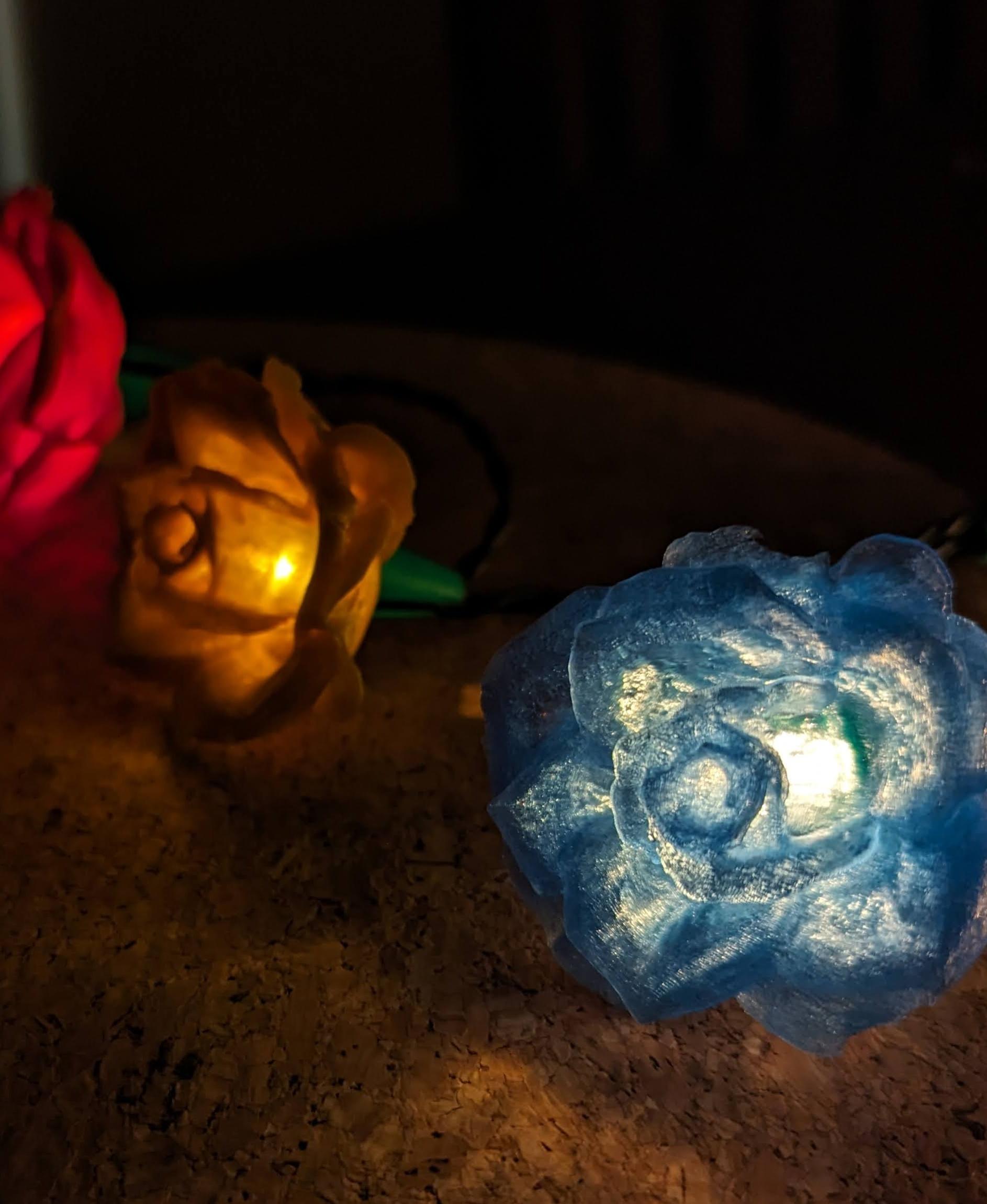 Rose Lights - clip on fairy light covers 3d model