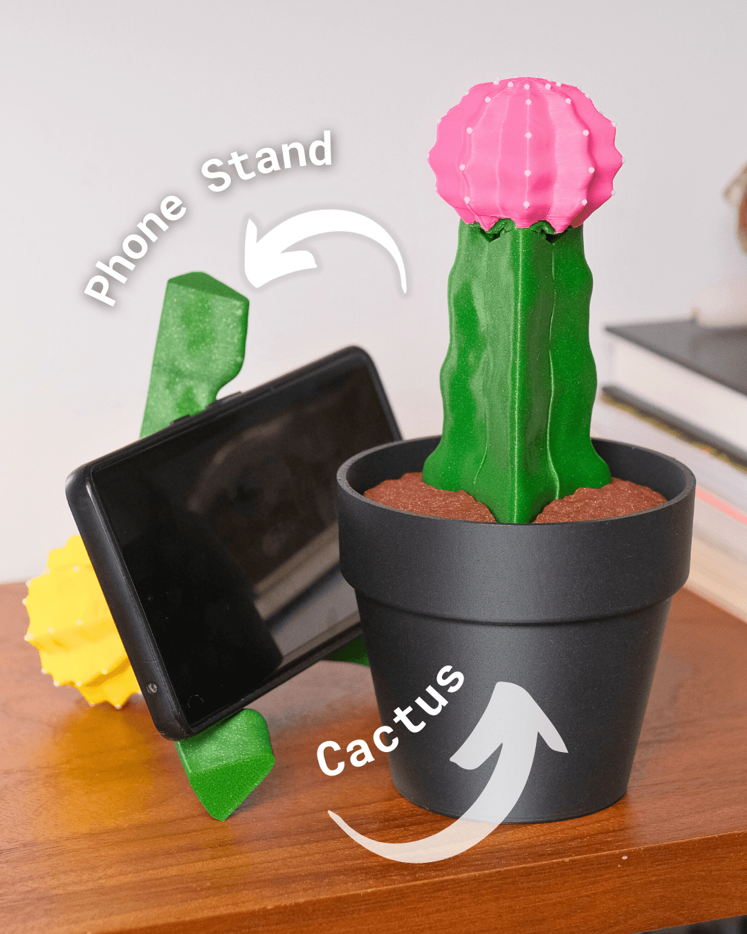 Phoney Cactus - Moon Cactus Phone Stand 3d model