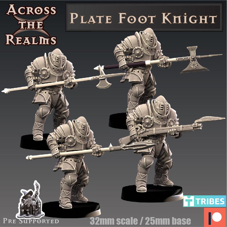 Plate Foot Knight 3d model