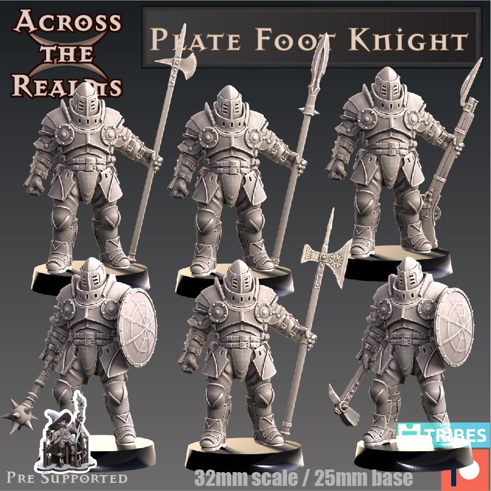 Plate Foot Knight 3d model