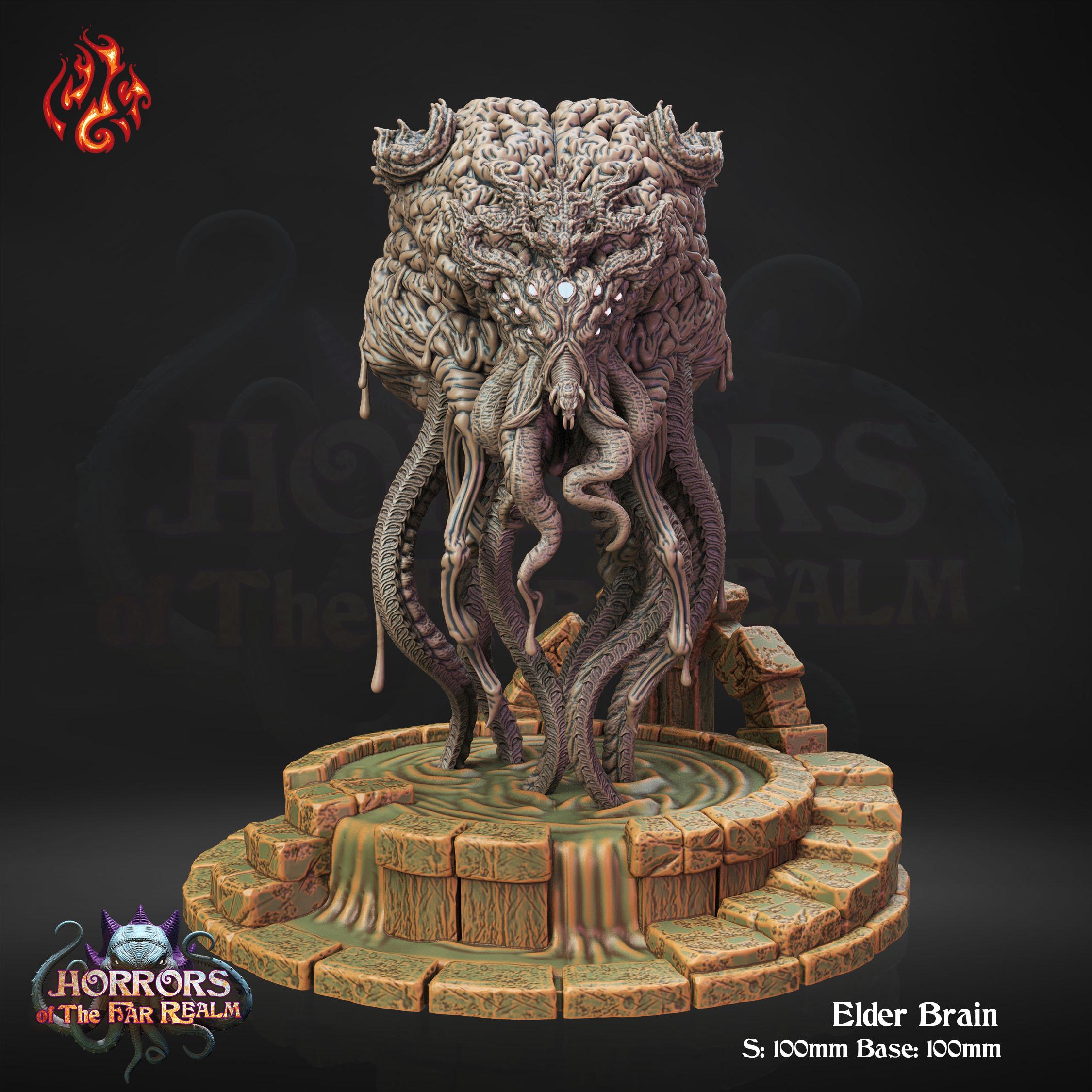 Elder Brain 3d model