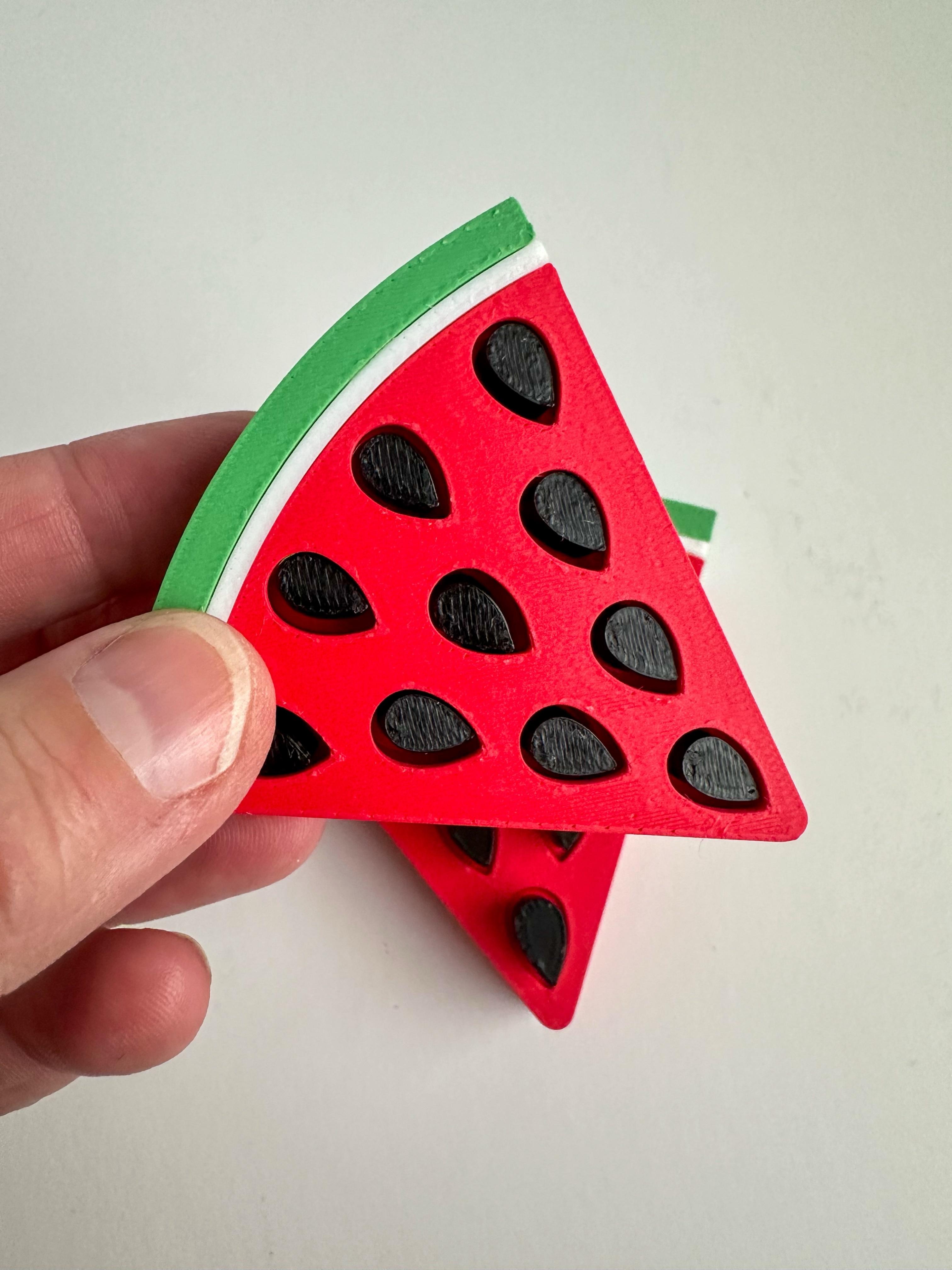 Watermelon Wedge Fidget 3d model