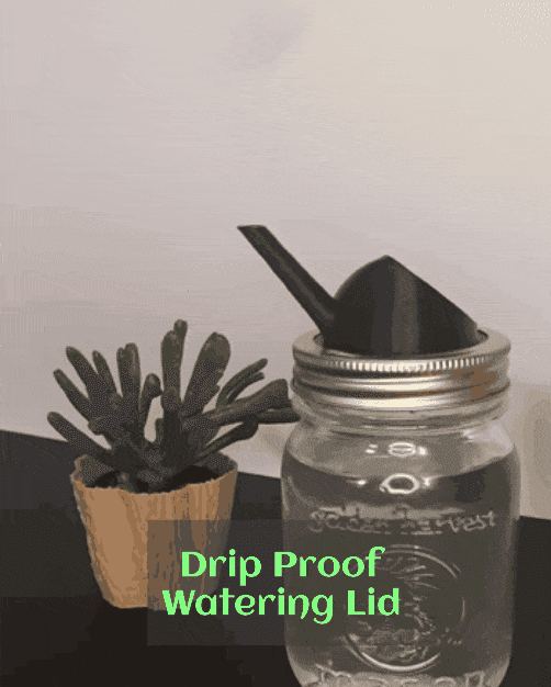 Mason Jar Watering Lid - Drip Proof - Support Free 3d model