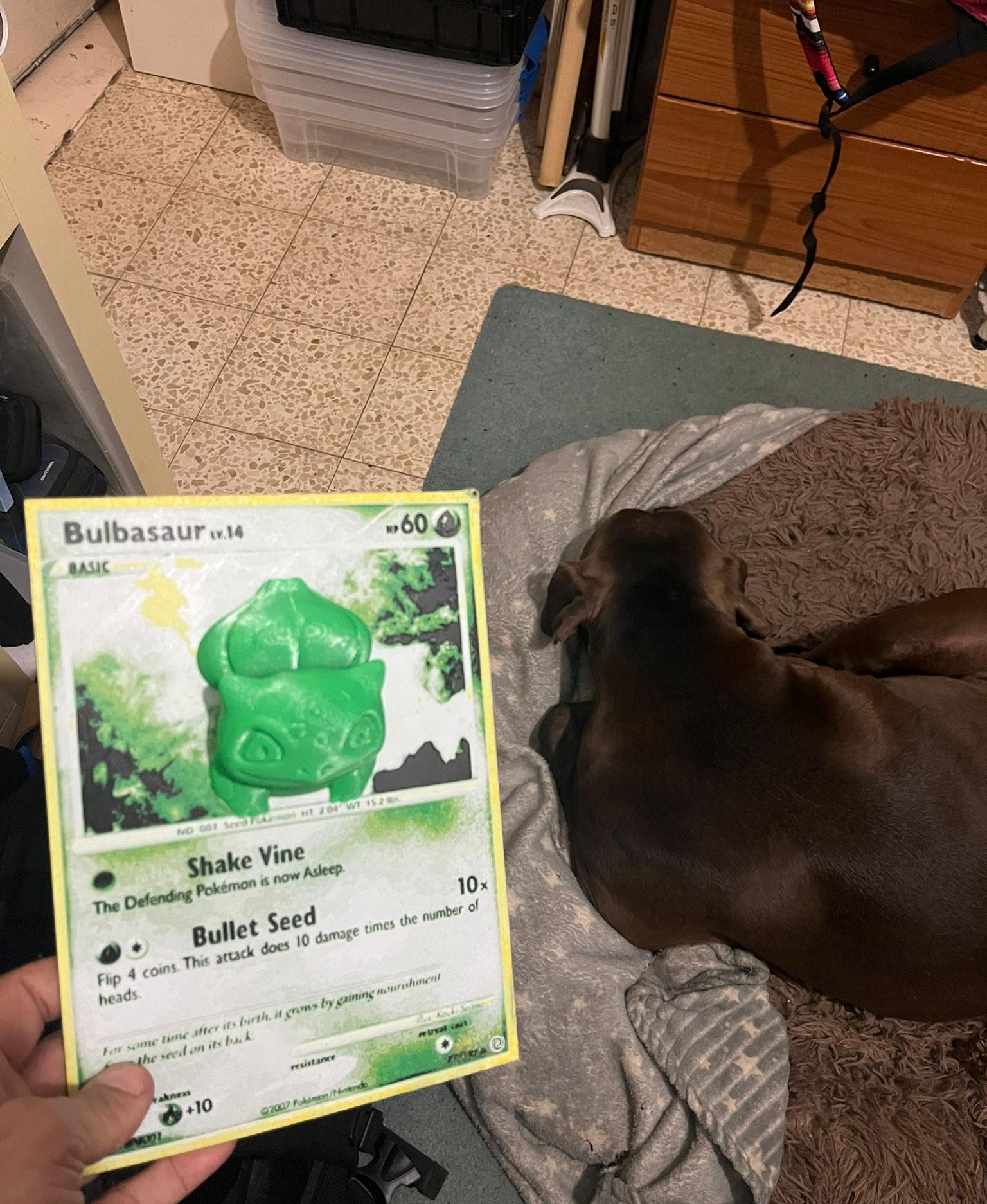 Oversized Bulbasaur Pokemon Card - HueForge Hybrid Print 3d model