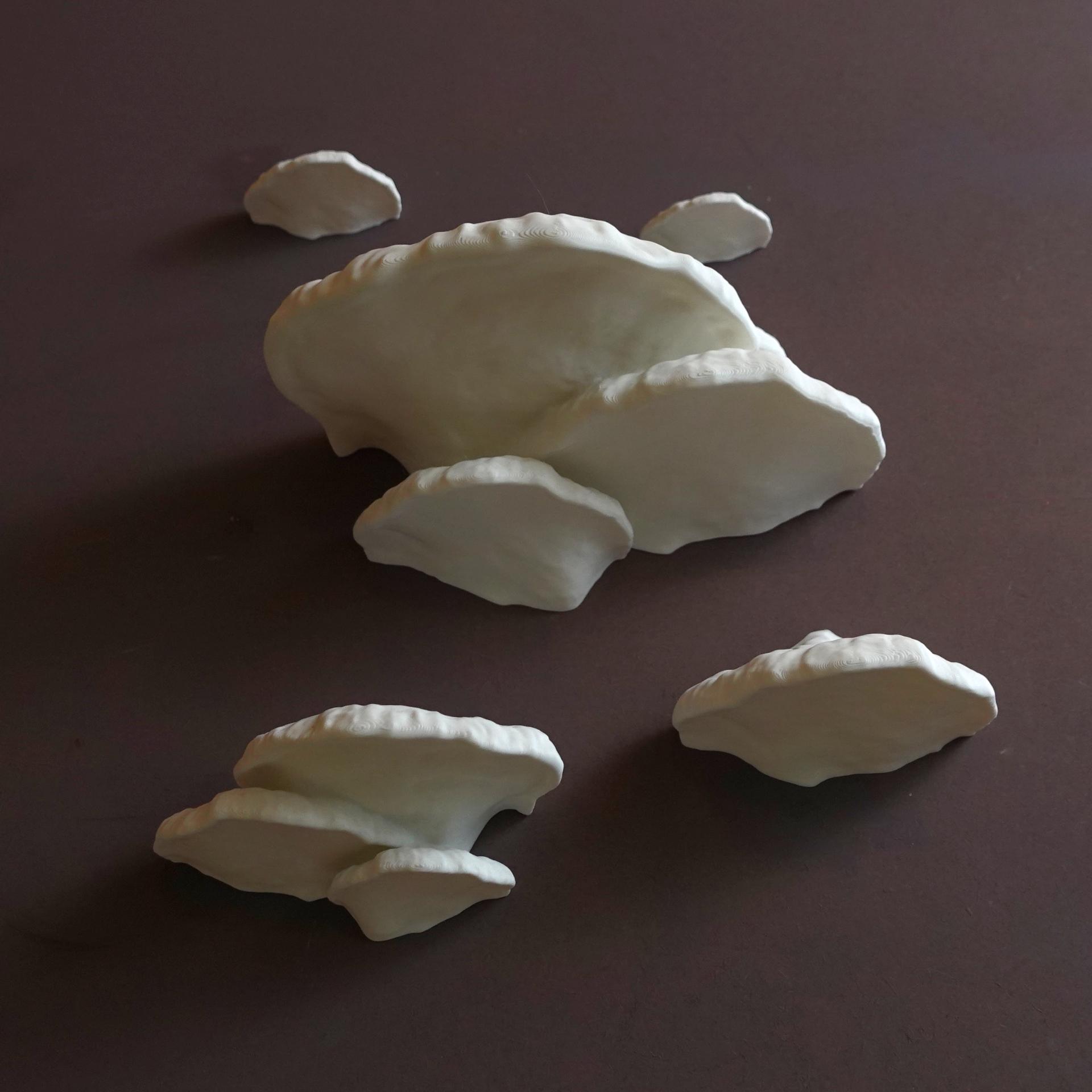 Wall shelf “Pinicula Fungus” 3d model