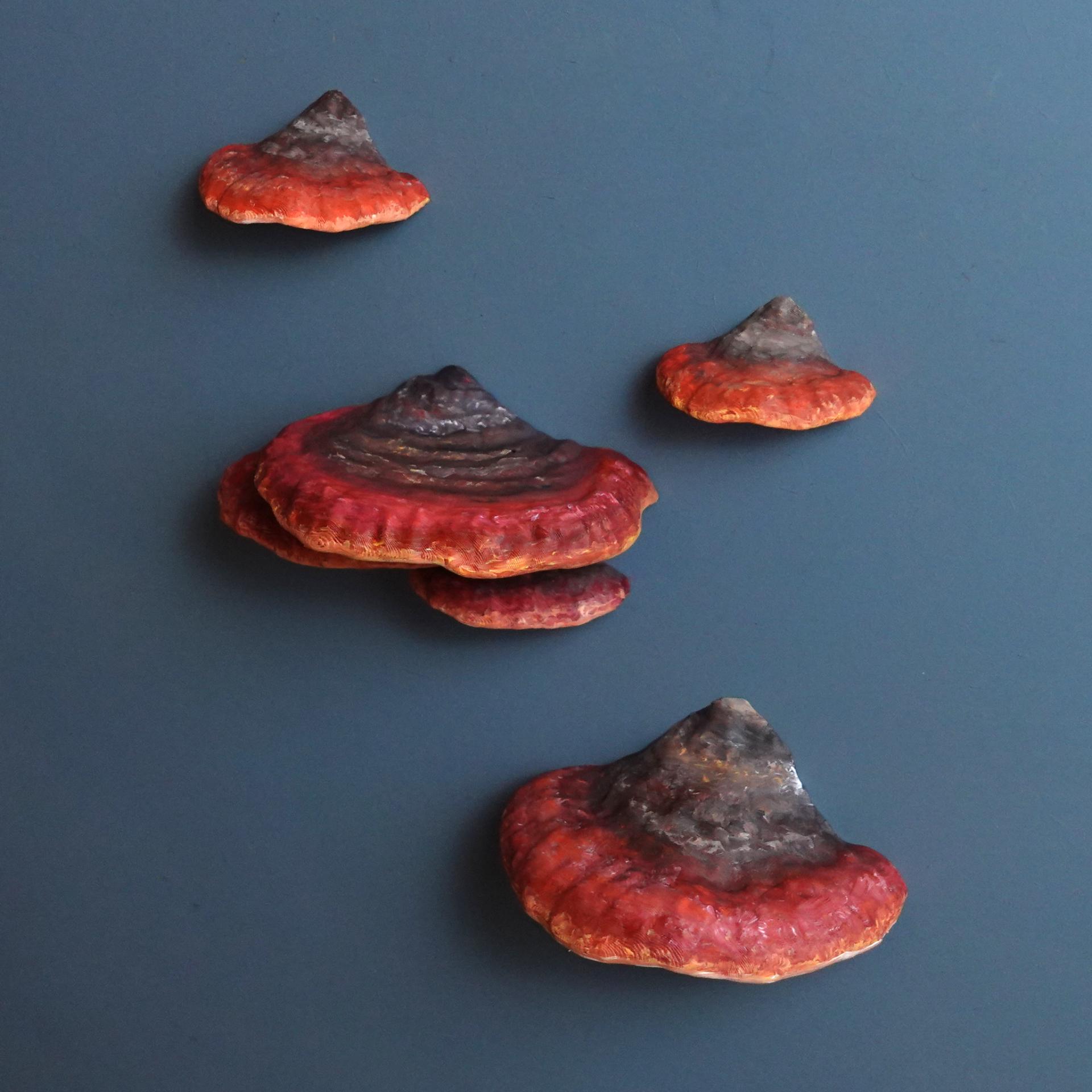 Mushroom shelf “Formitopsis Pinicula” 3d model